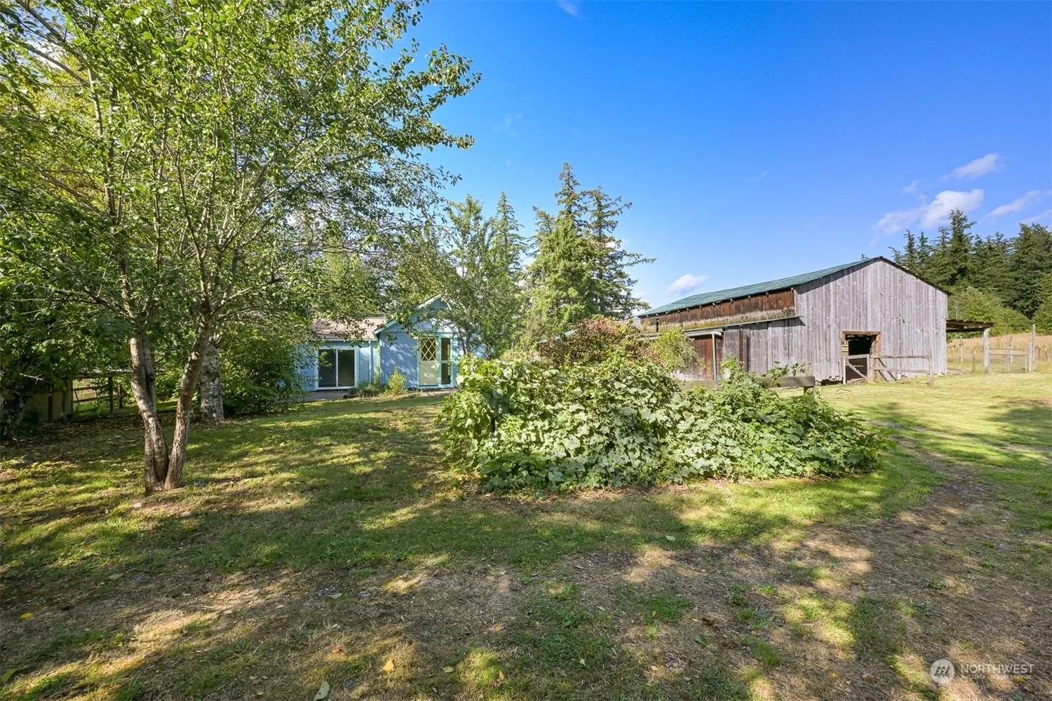 A rural backyard with a wooden barn, a blue house, trees, and grassy ground on a sunny day with a clear blue sky.