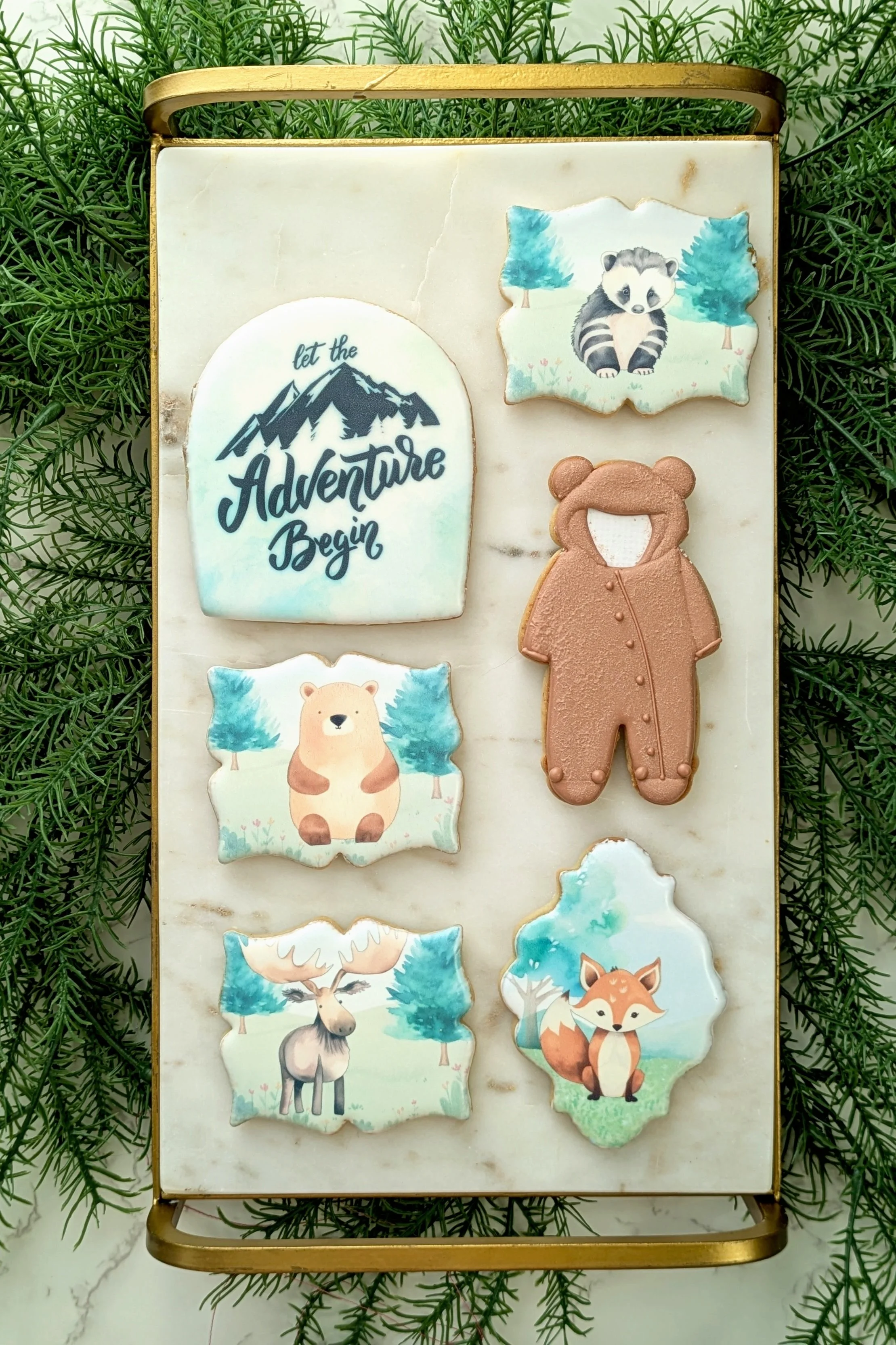 The Adventure Begins Baby Shower Decorated Cookies