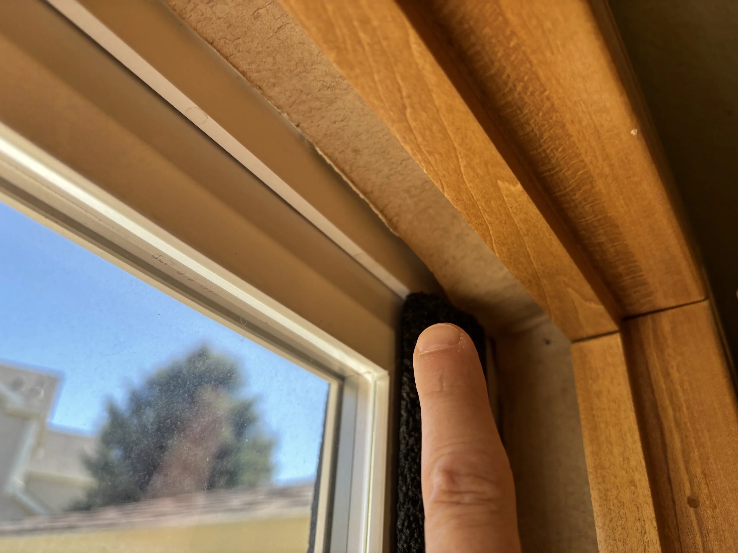 IMG_0829.jpeg