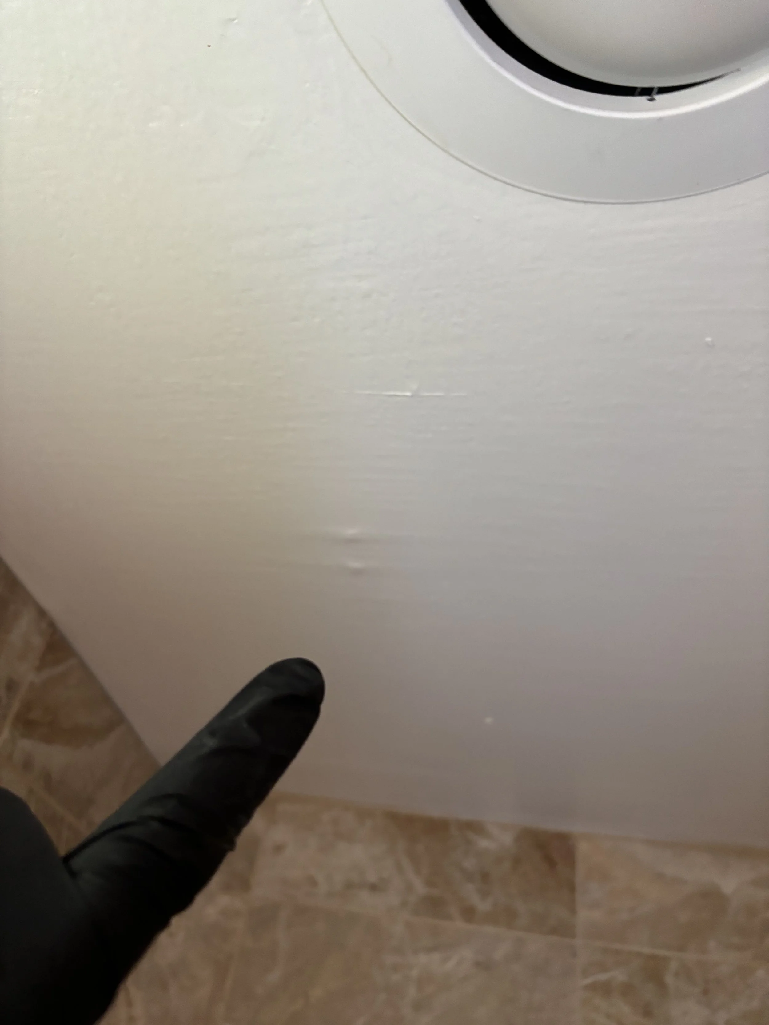 IMG_3728.jpeg
