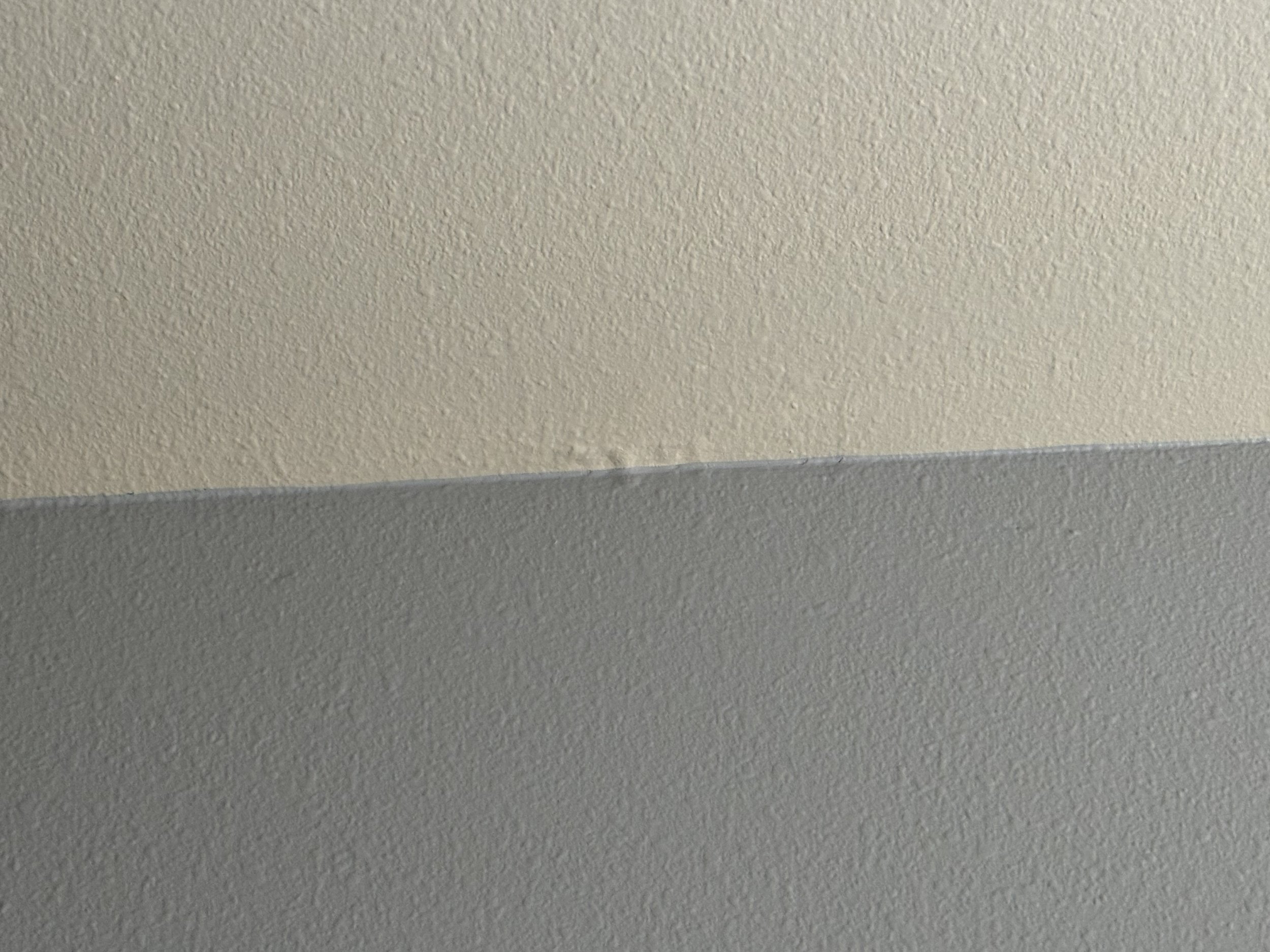 IMG_1601.jpeg