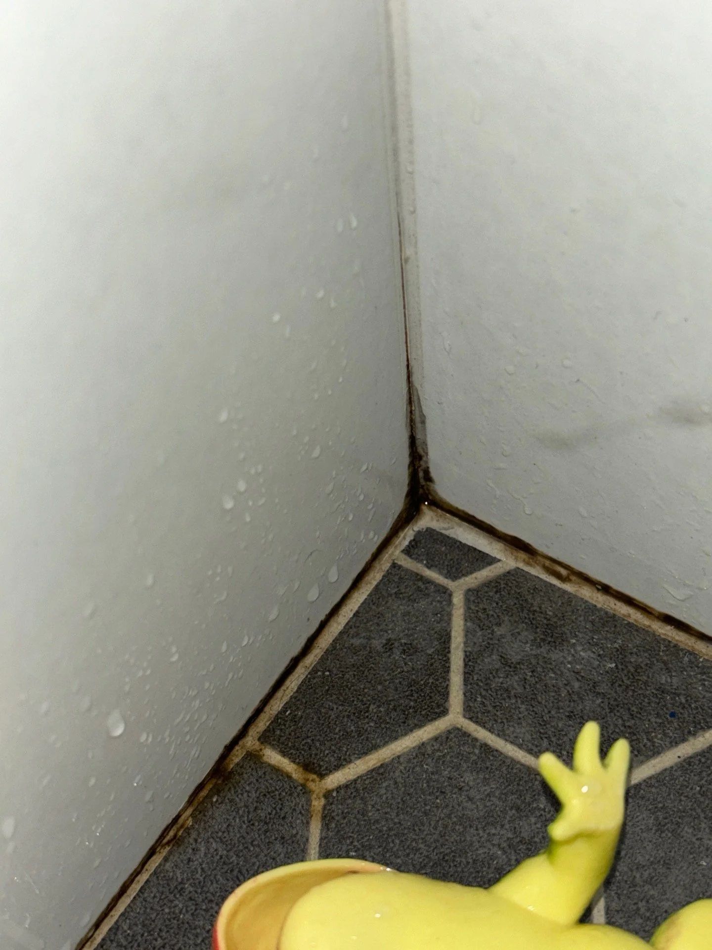 IMG_1013.jpeg
