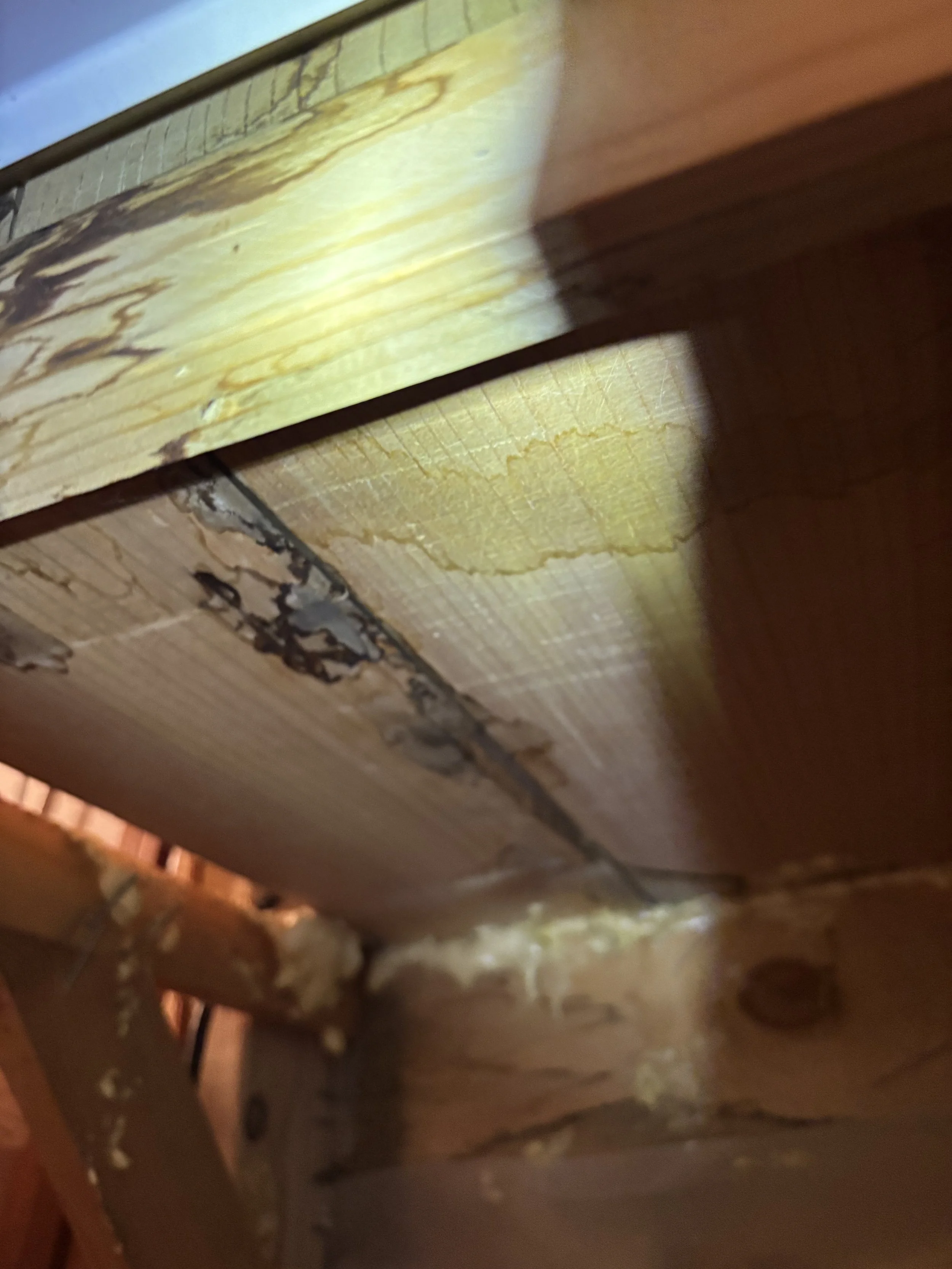 IMG_3744.jpeg