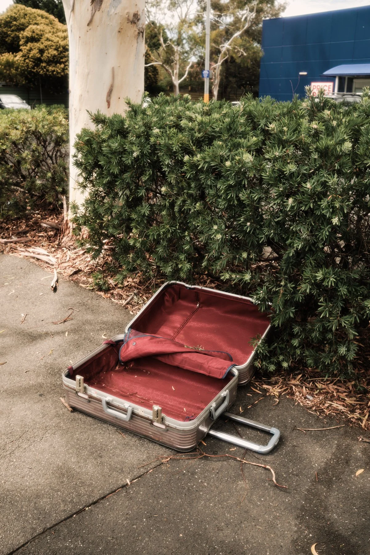 An empty, open, vintage suitcase on a sidewalk near green bushes and a tree, with a blue building in the background.