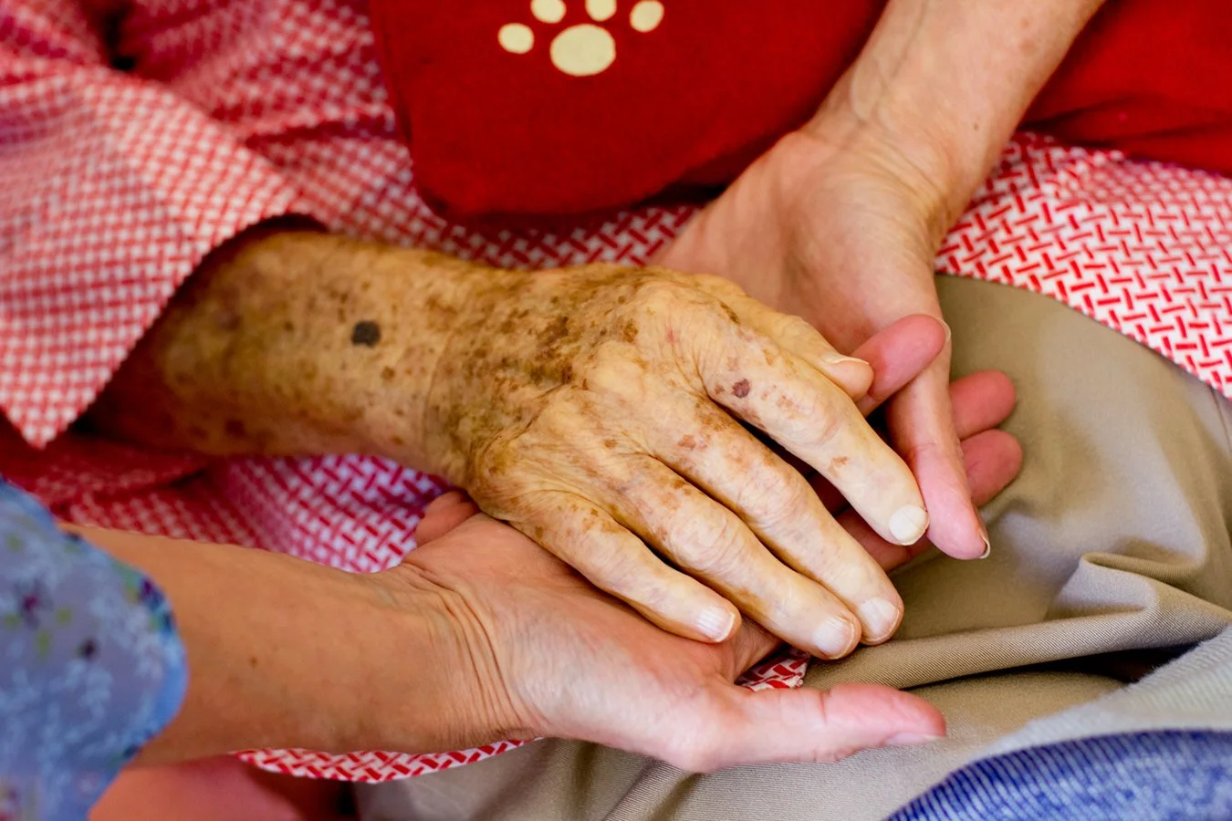 Close-up of three people holding hands, one with a wrinkled, freckled hand with age spots and the other two smoother, younger hands, sitting together on a bed or couch.