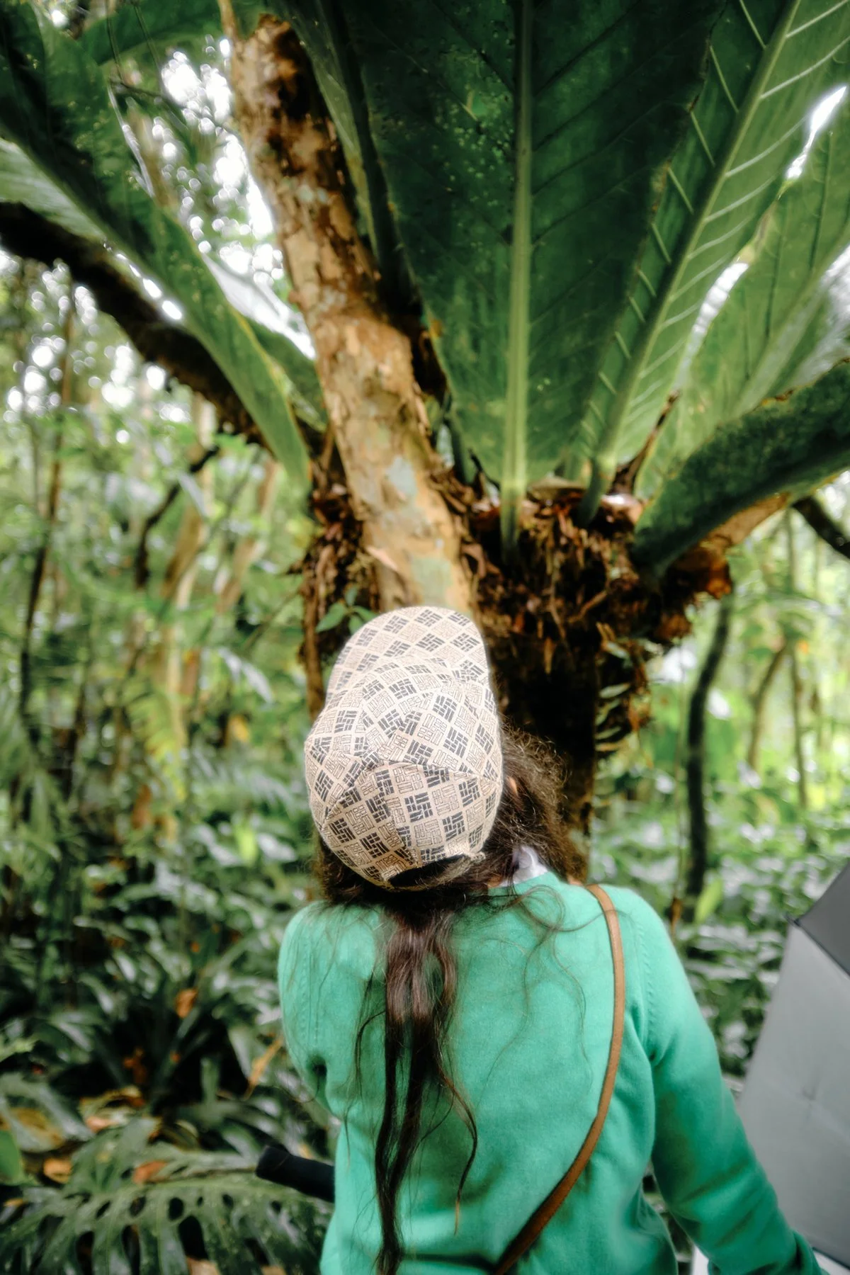 Person wearing a patterned headscarf and green jacket looking at large banana plant in jungle.