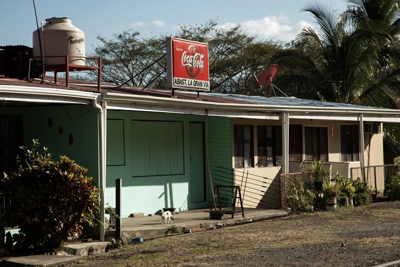 A single-story house with a red Coca-Cola sign on the roof. The house has green and beige walls, window curtains, and a small porch area with a cat standing on the steps. There are plants and bushes near the house, and a large water tank on the roof.