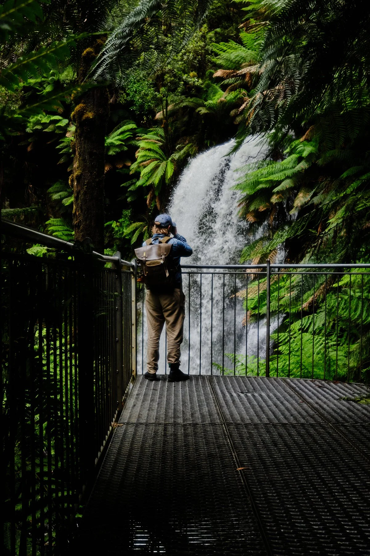 A person standing on a metal observation deck taking a photo of a waterfall surrounded by lush green foliage in a rainforest.