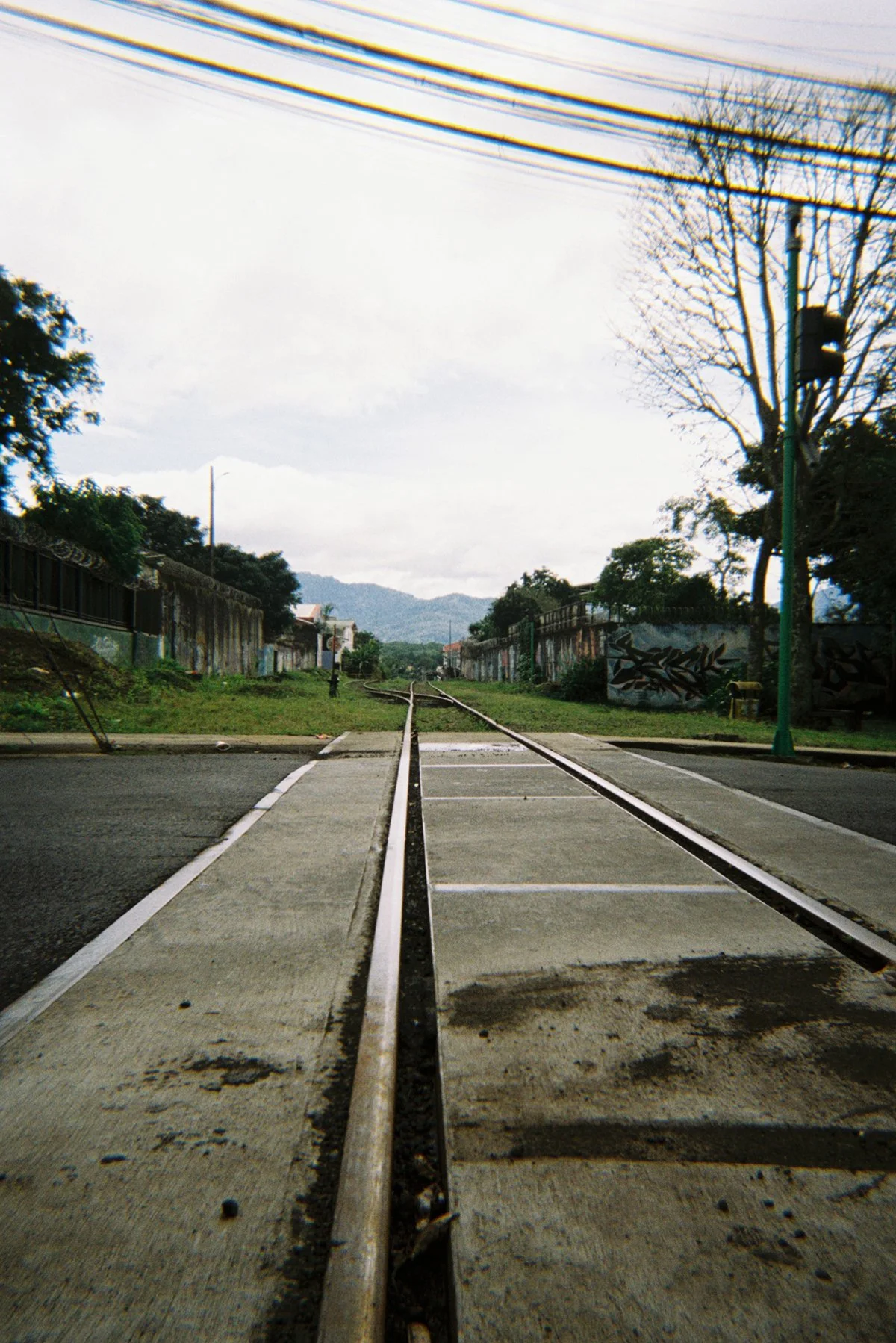 A low-angle photo of train tracks crossing a street, with overcast sky, trees, utility poles, and a mountain in the background.