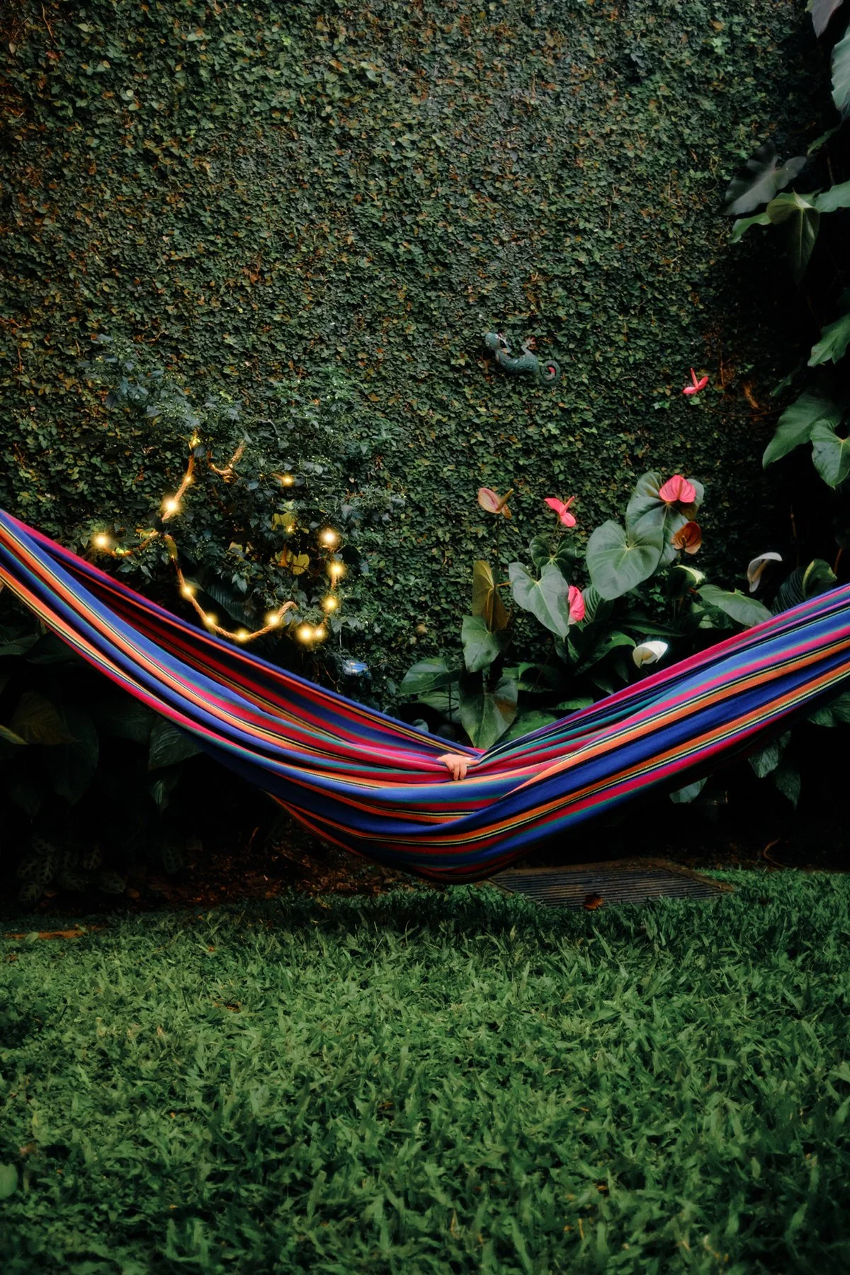 A colorful striped hammock suspended in a lush garden, surrounded by green plants, pink flowers, and a hedge wall, with string lights hanging nearby.