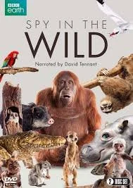 Spy In The Wild (Emmy Nominated)