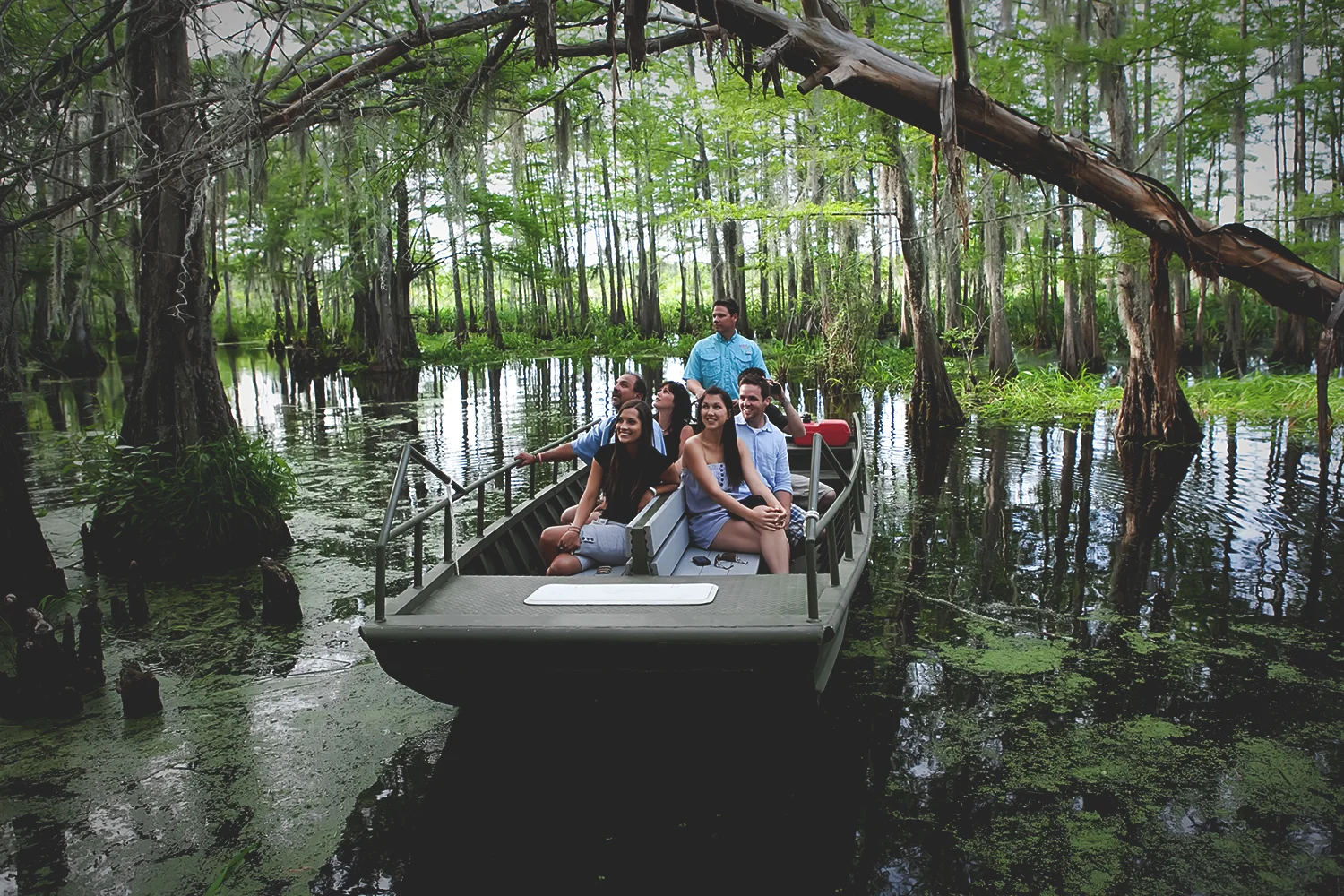 Swamp Tours