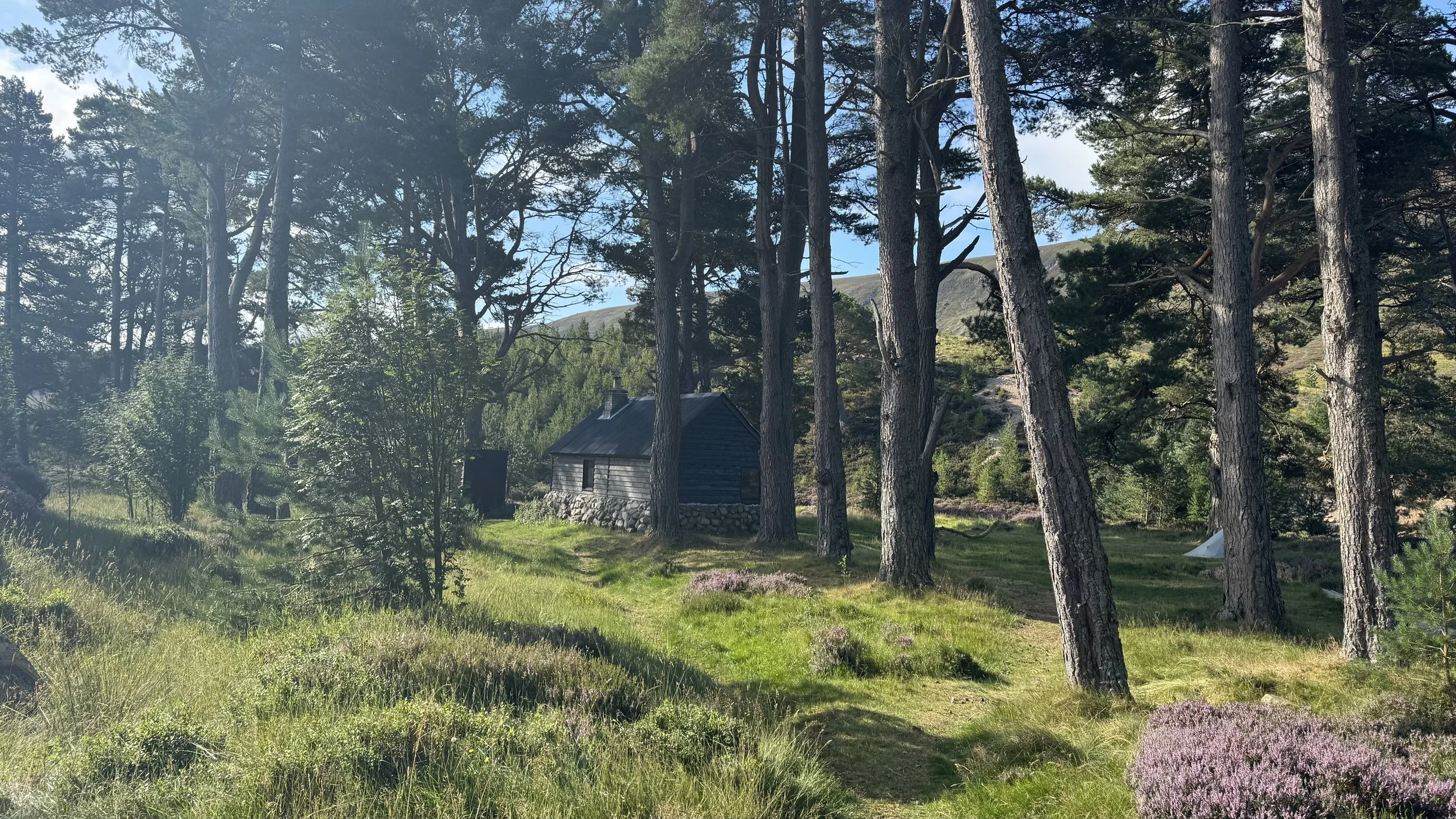 August Scotland Tour