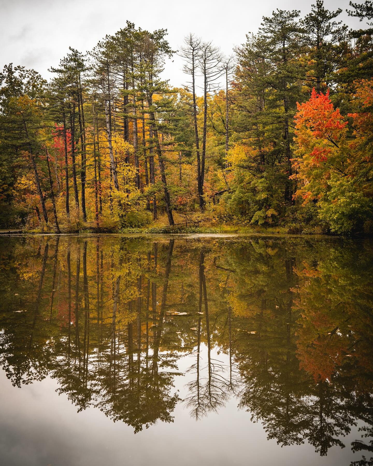 There will be a couple more weeks with decently warm weather. Get out there while you can! #ohio #cleveland #metroparks #fall #sony #sonyalpha