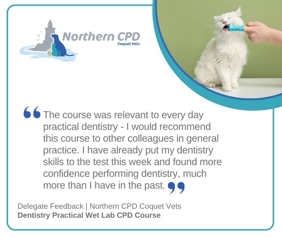 13 - Dentistry (May 2026).jpg