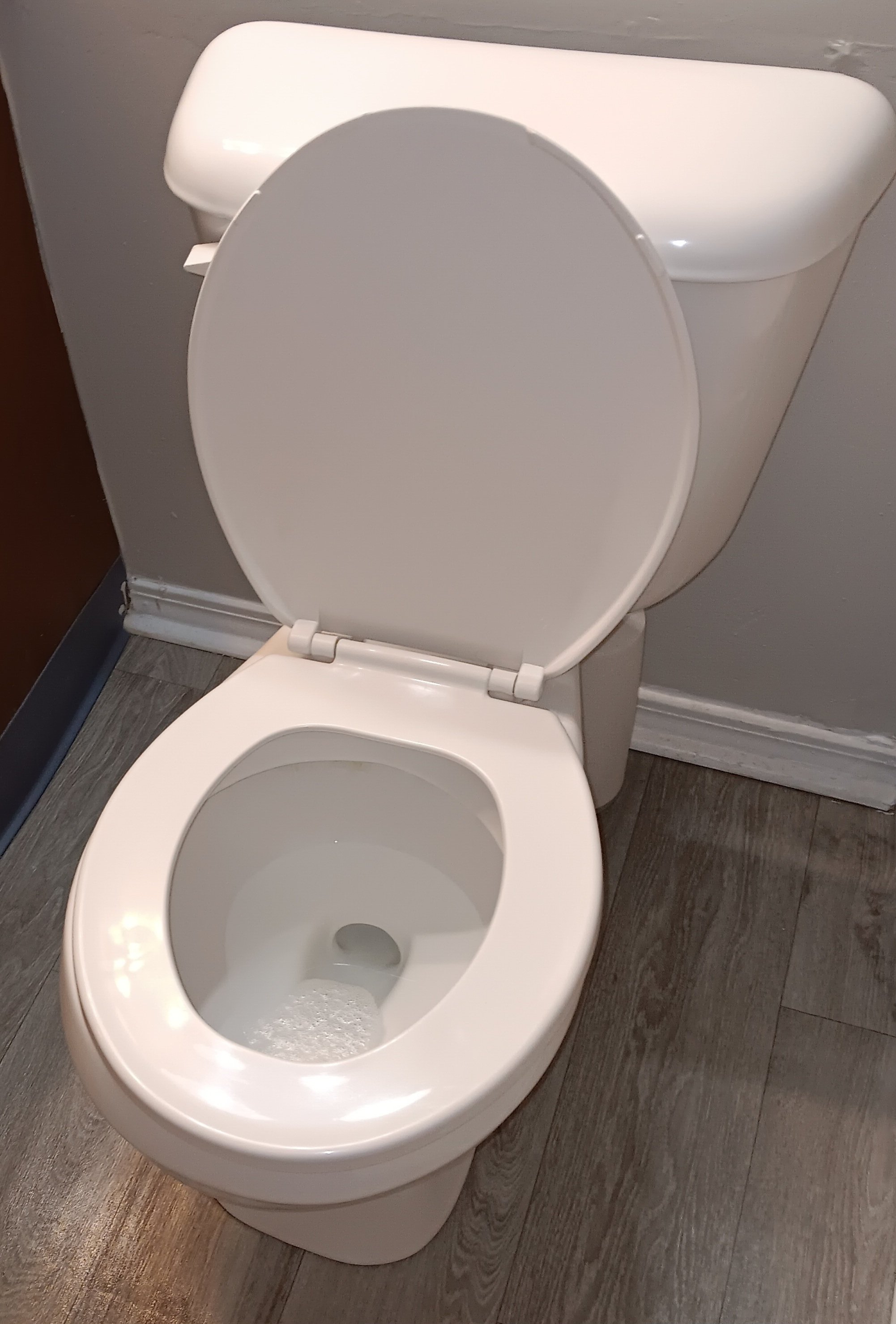 clean sanitize toilet