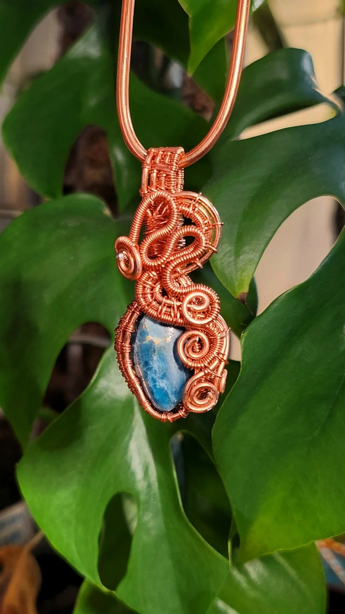 20260818_181340.jpg