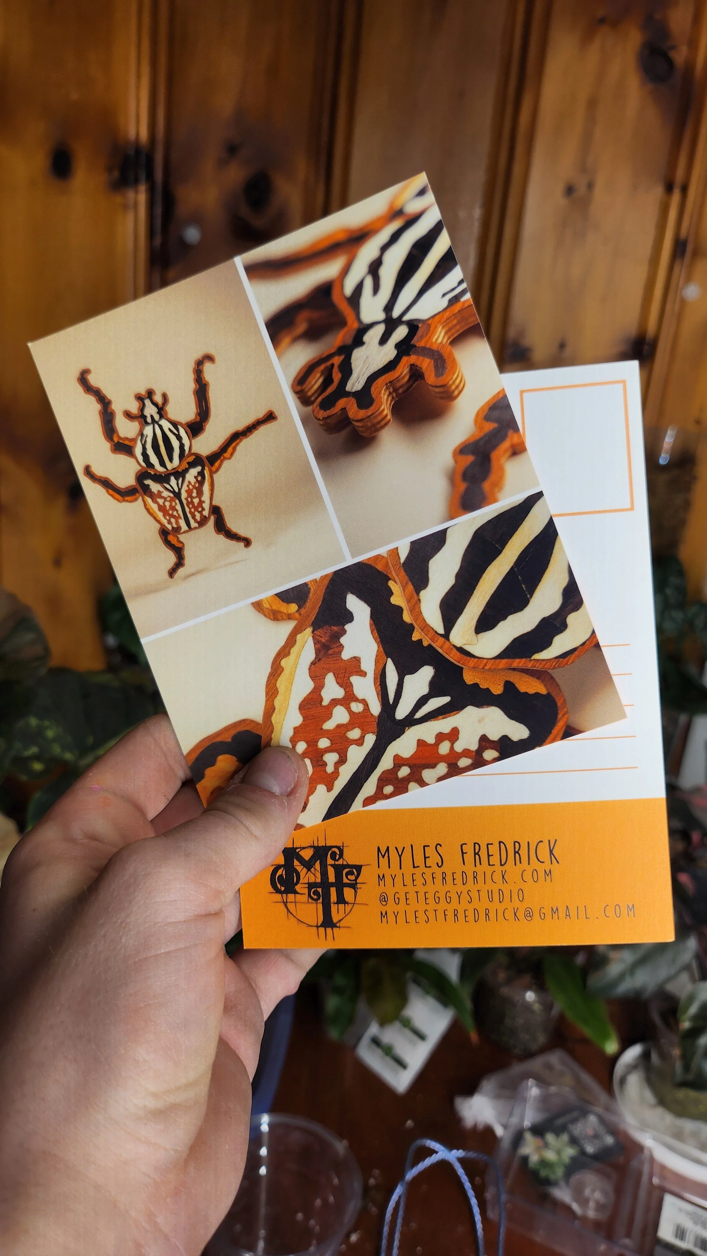 Goliathe Beetle Postcard