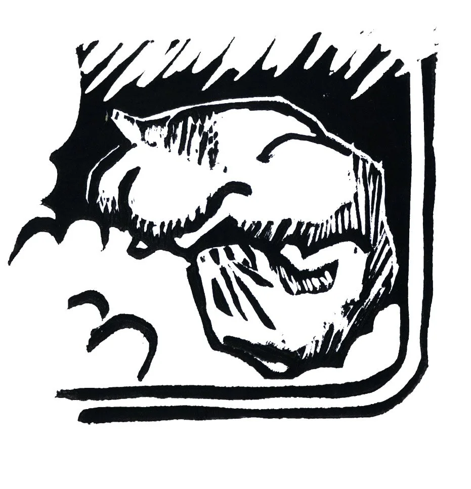 HAMMY SCAN.jpg