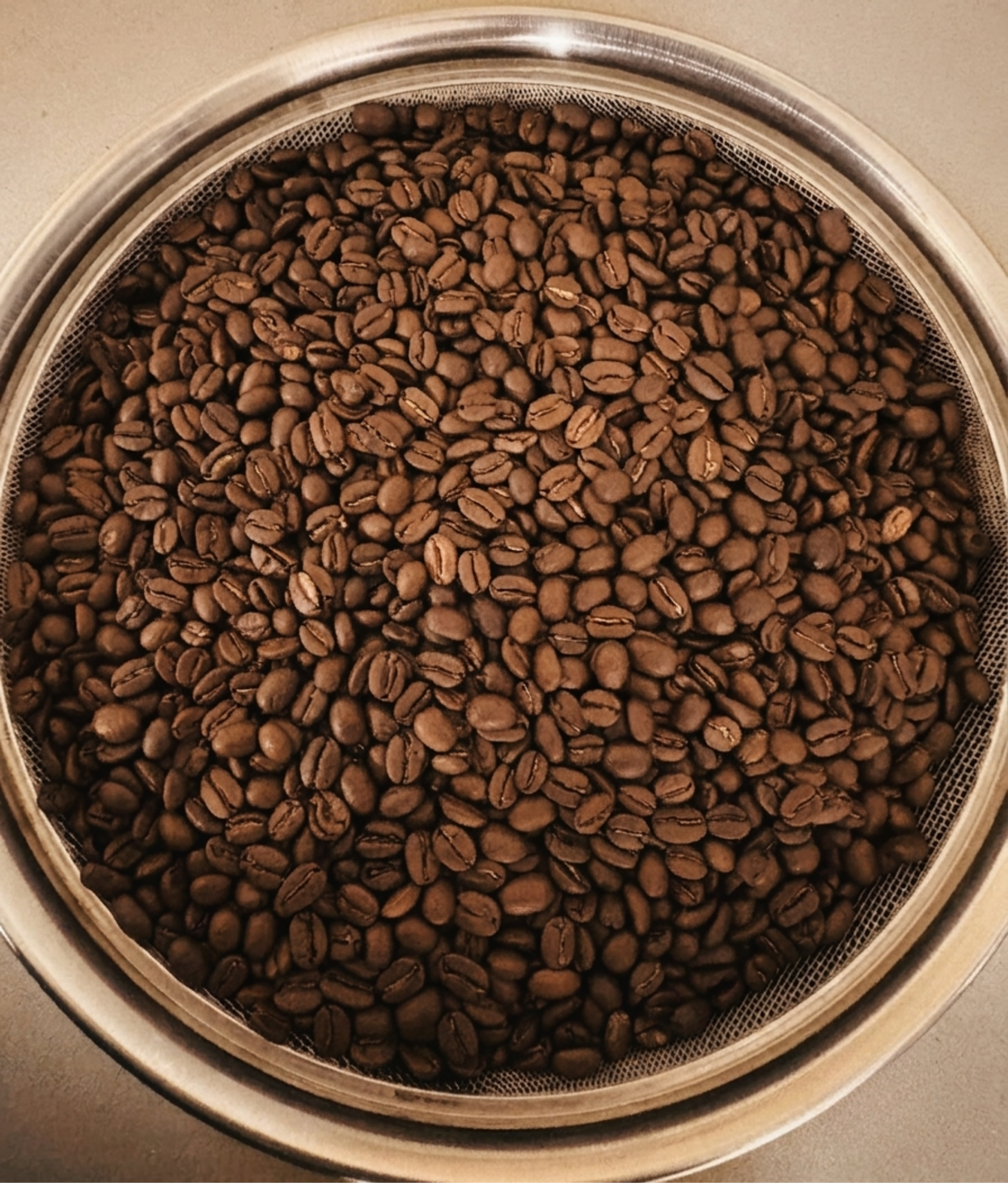 Close-up view of roasted coffee beans in a metal mesh coffee sifter.