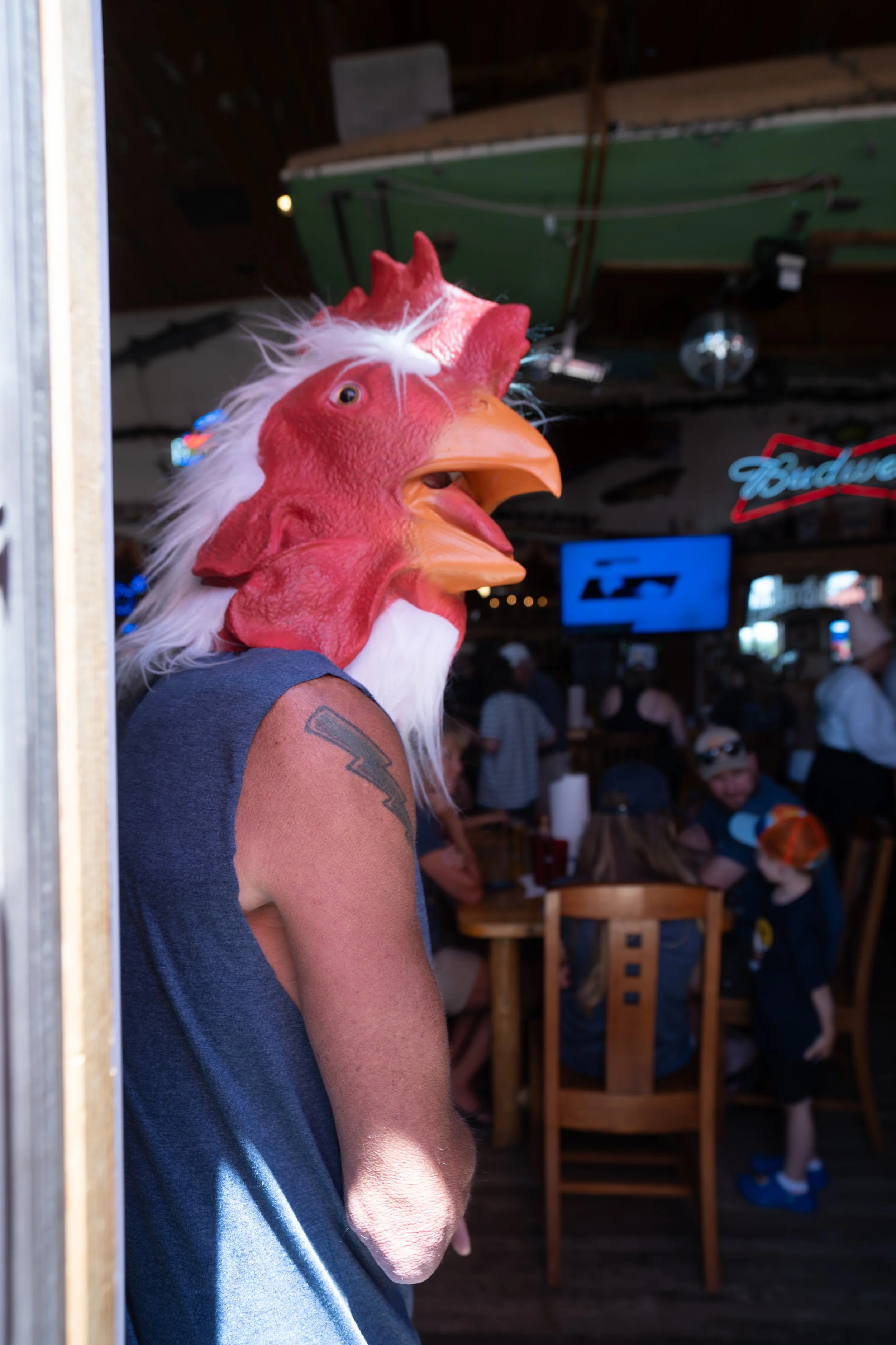20250622-_DSC7667-Enhanced-NR.jpg