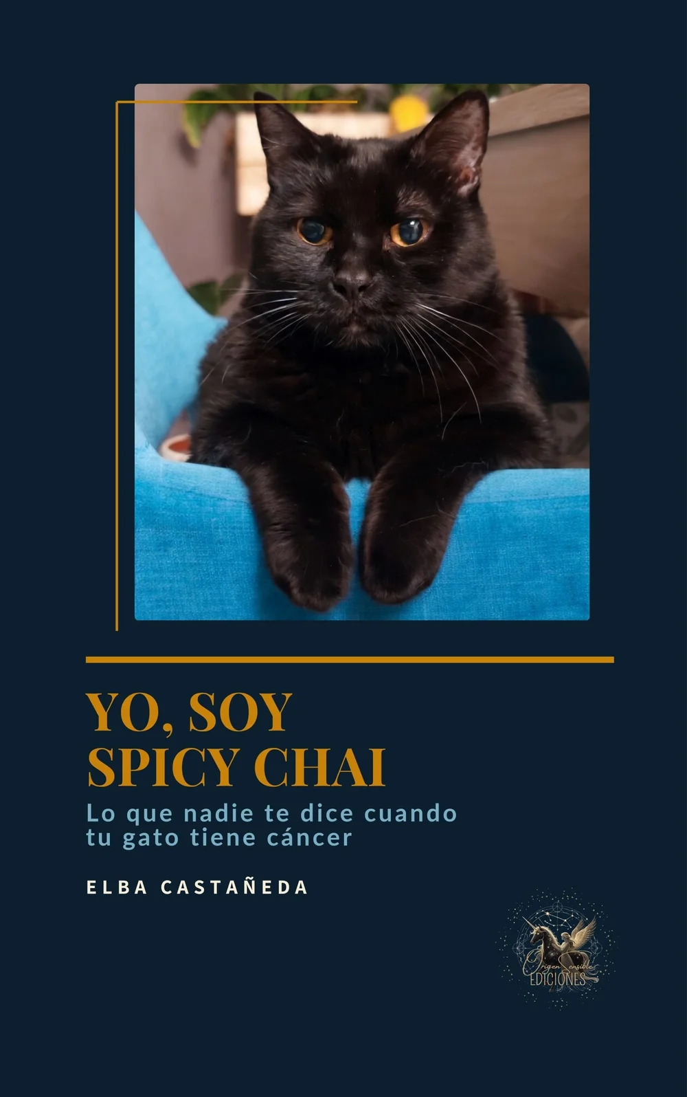 Portada Yo, soy Spicy Chai