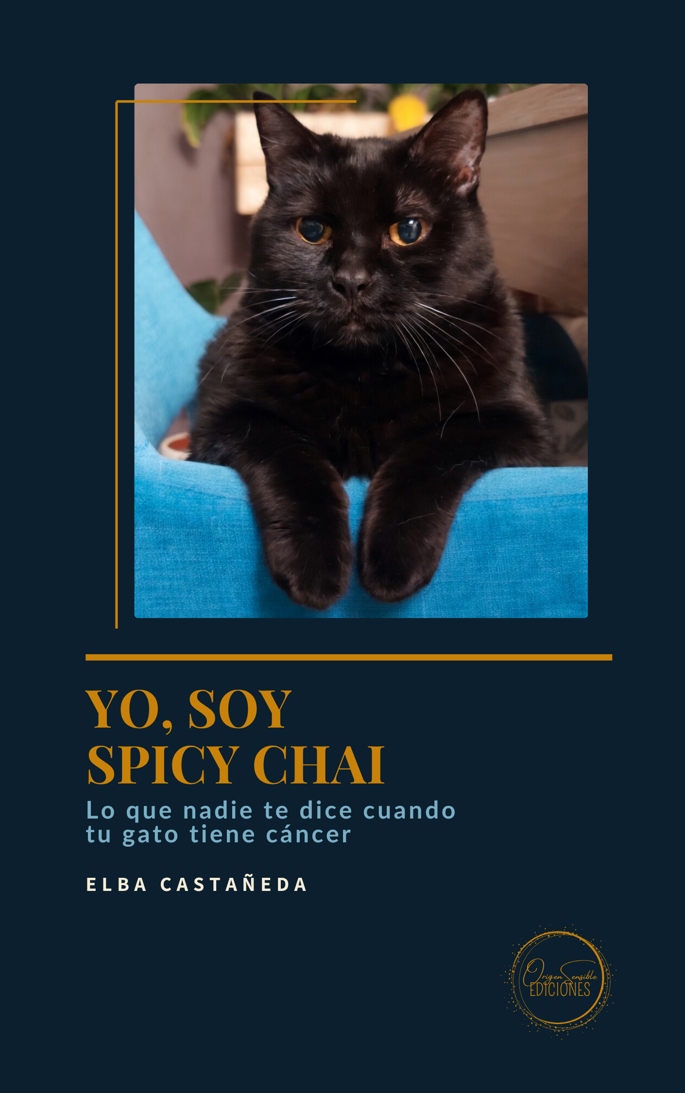 Portada Yo, soy Spicy Chai