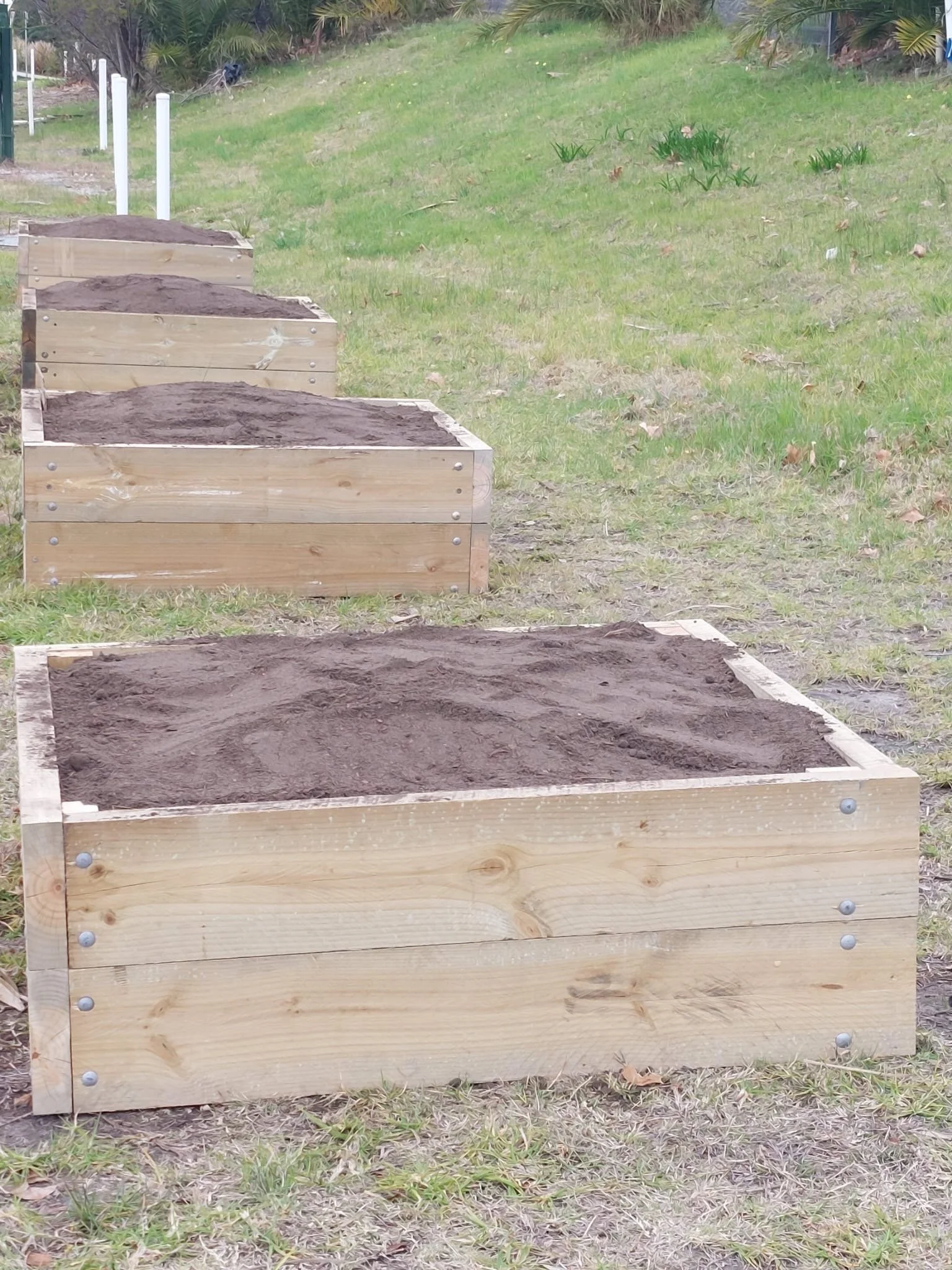 All our boxes laid out and Soil from Burdetts all filled in and ready for plants