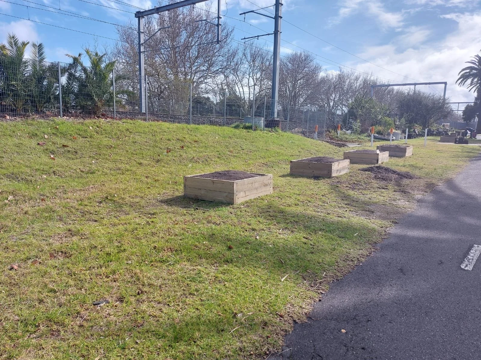 All our boxes laid out and Soil from Burdetts all filled in and ready for plants