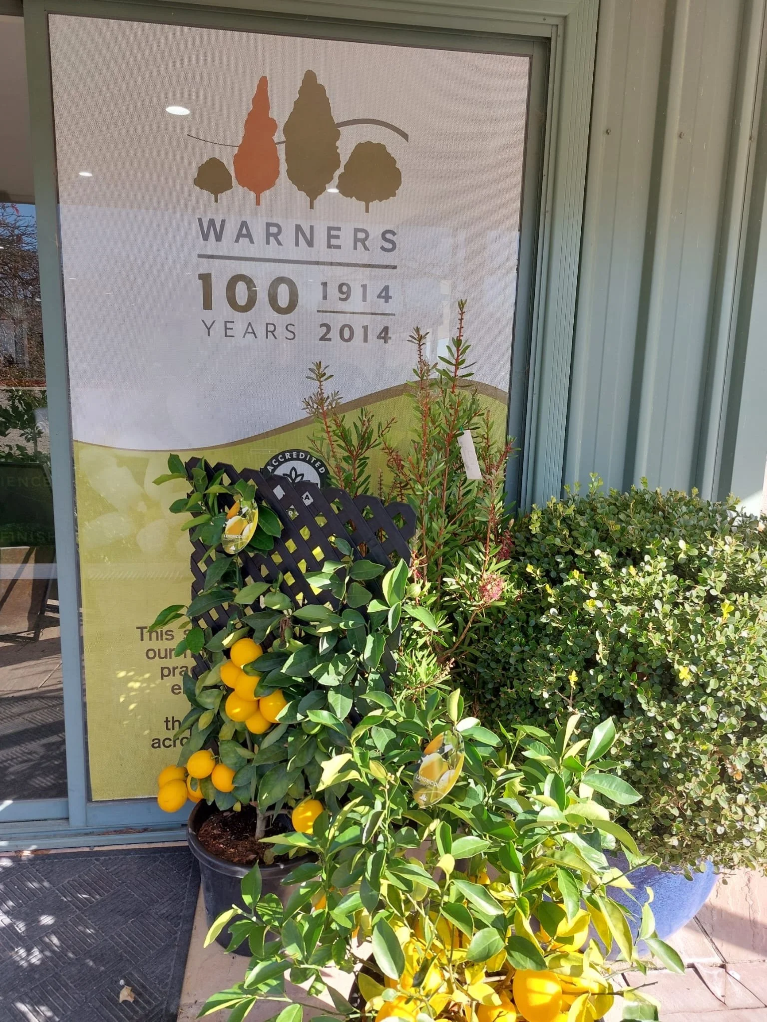 Citrus Plants & Herbs from Warners 