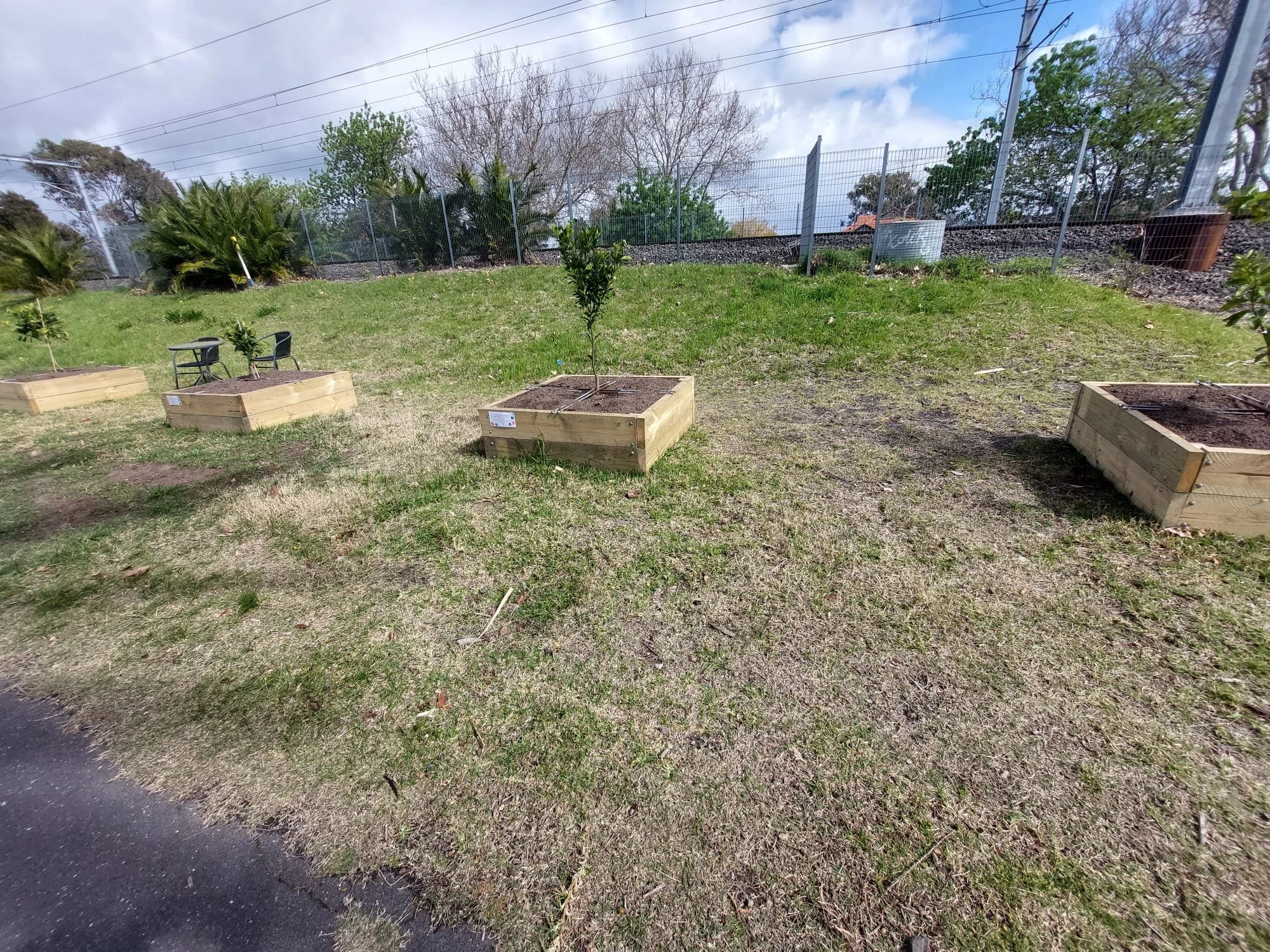 All Our Citrus in and ready 