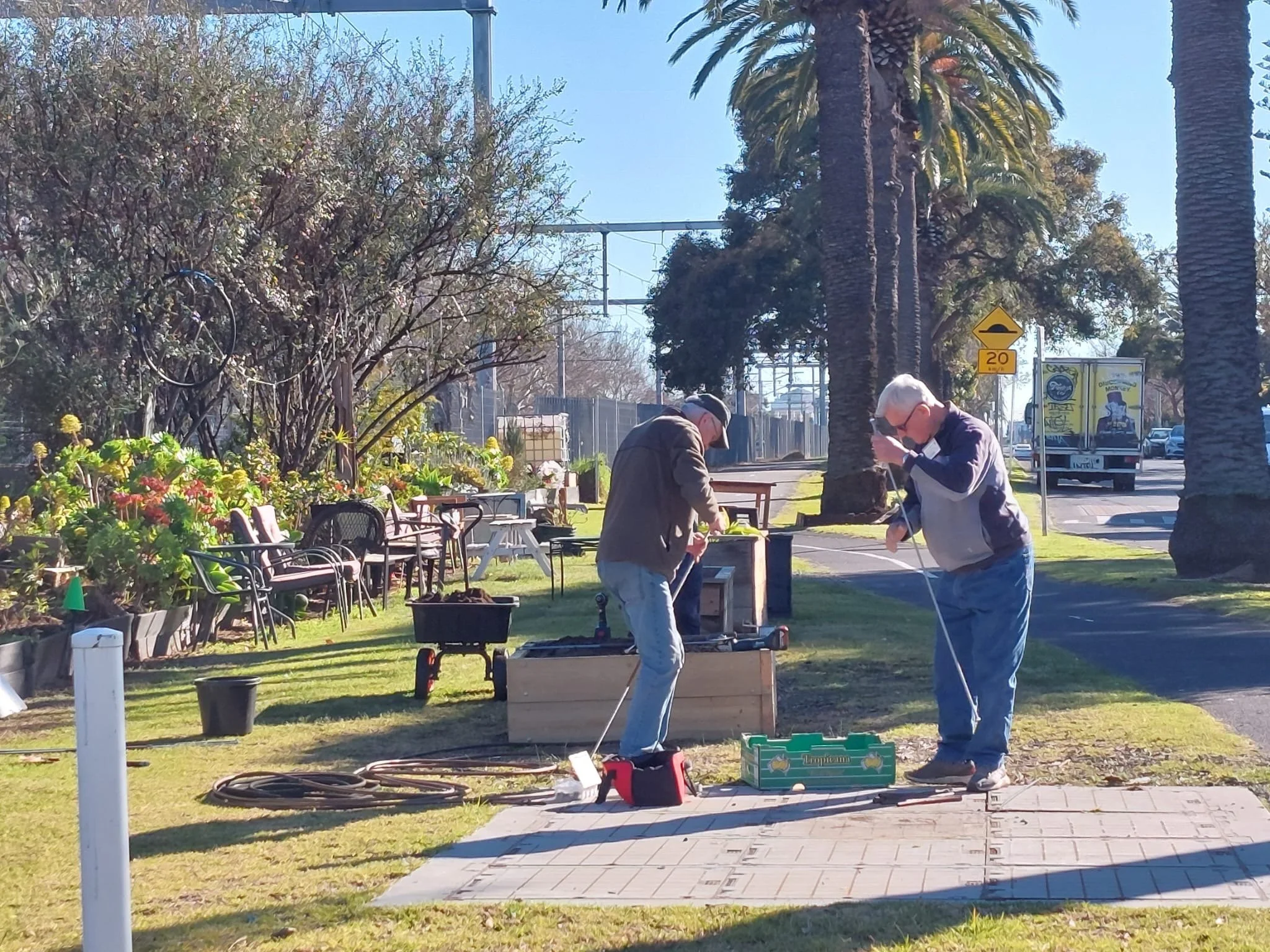 Citrus Plants Going In from the help of Mens Shed 