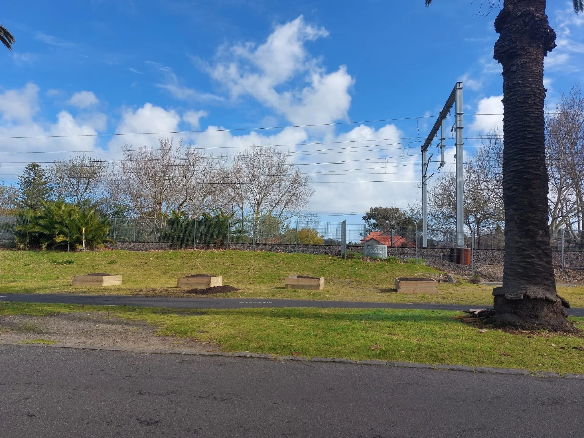 All our boxes laid out and Soil from Burdetts all filled in and ready for plants