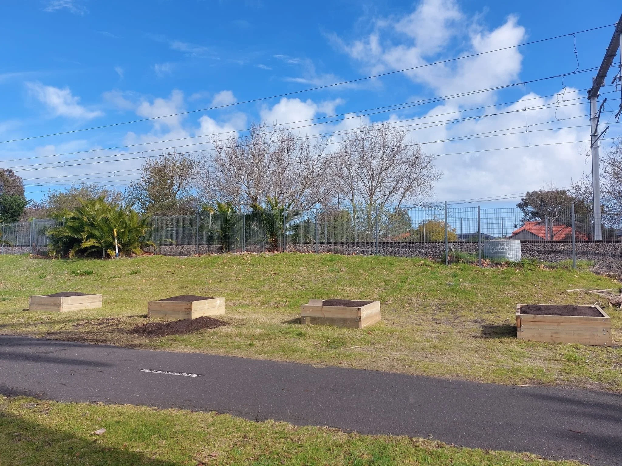 All our boxes laid out and Soil from Burdetts all filled in and ready for plants