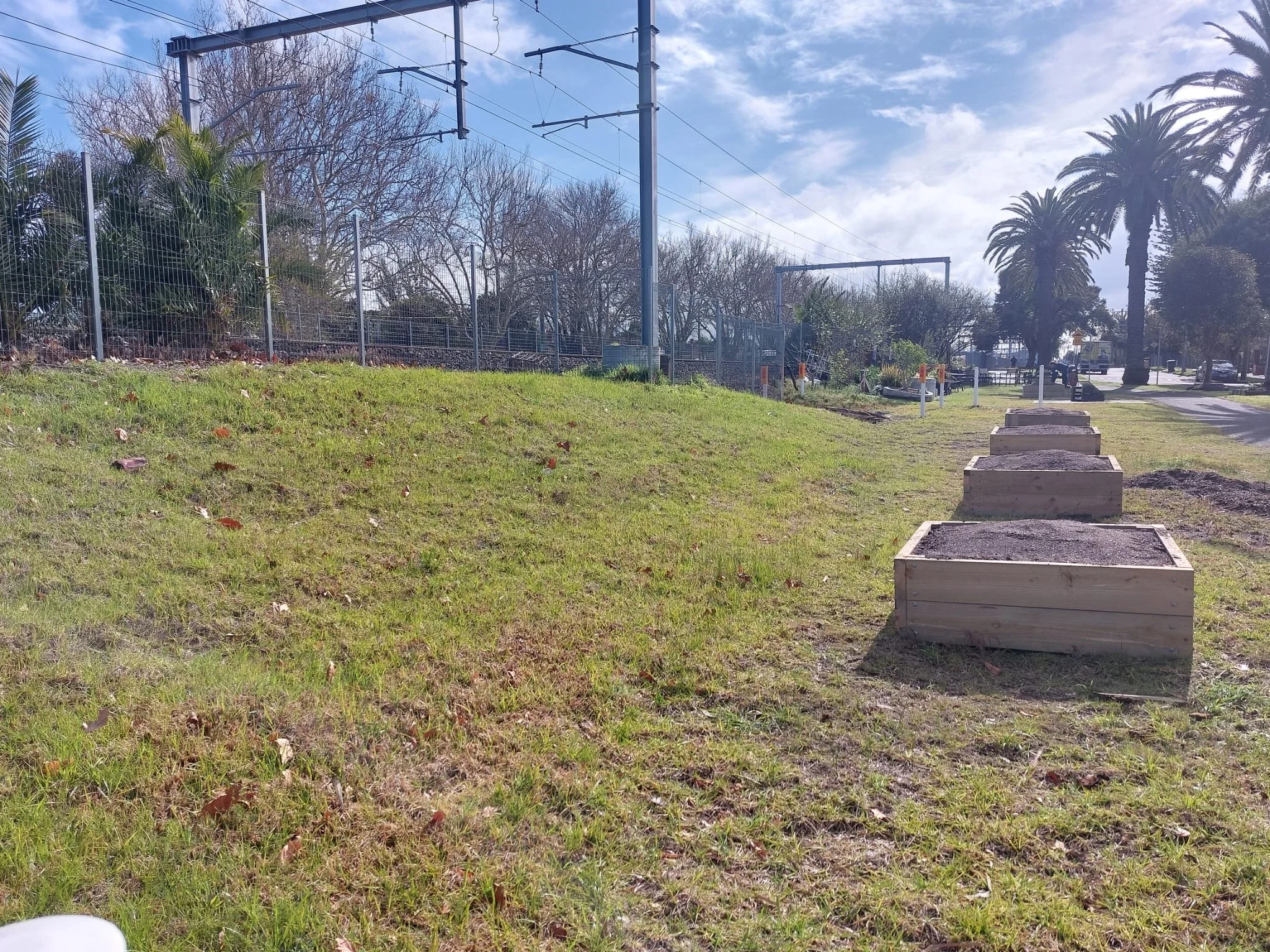 All our boxes laid out and Soil from Burdetts all filled in and ready for plants