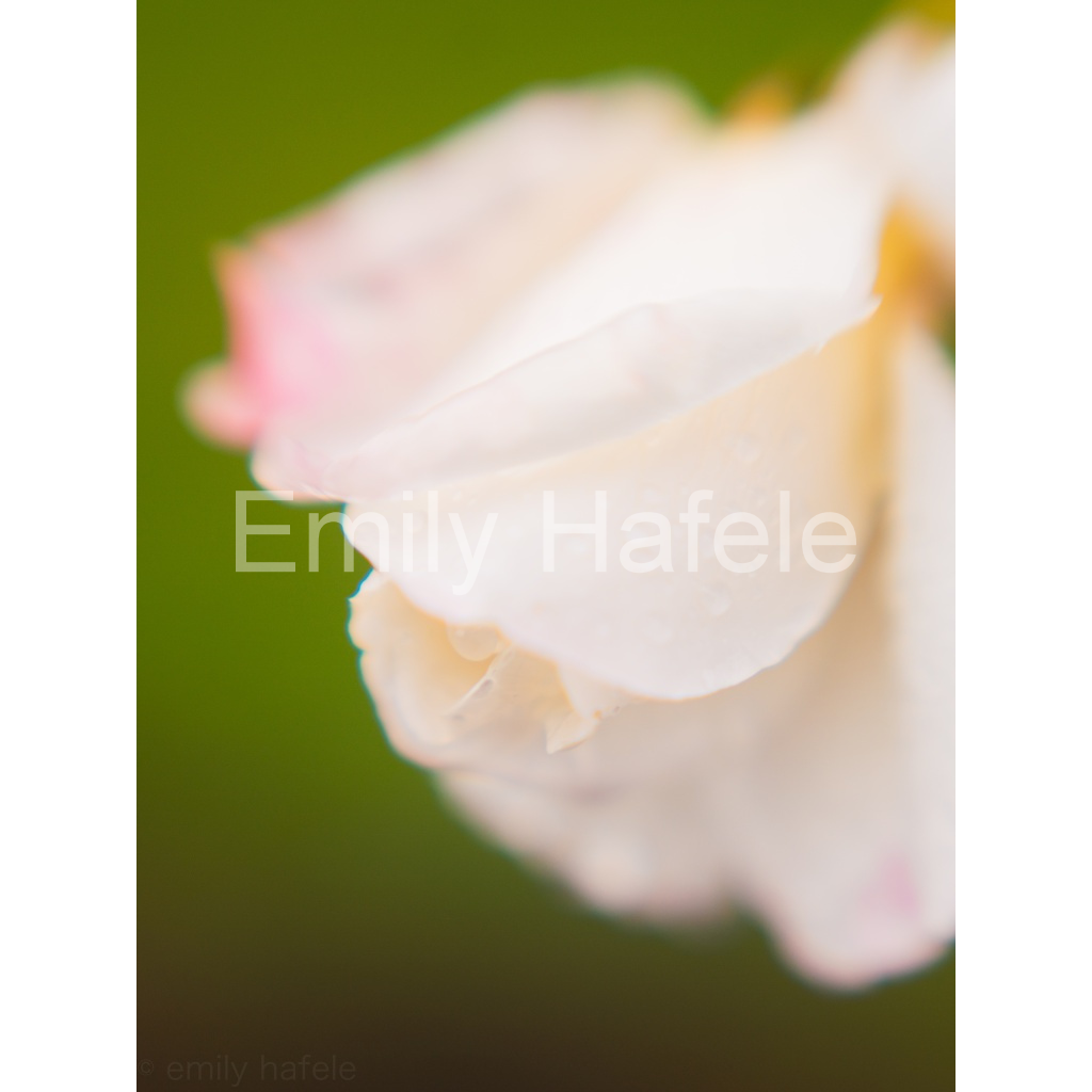 image_original_8bdd4f3b53de4a55399a37ca90b95b1e.png