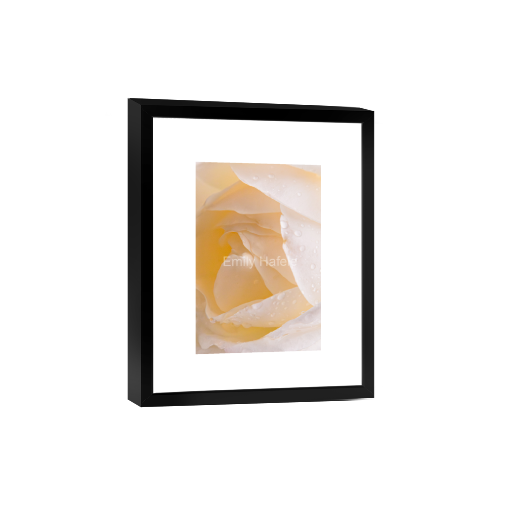 ptq_45_3_0_0_2053_3079_0_false_ffffff_0_0_8bdd4f3b53de4a55399a37ca90b95b1e.png