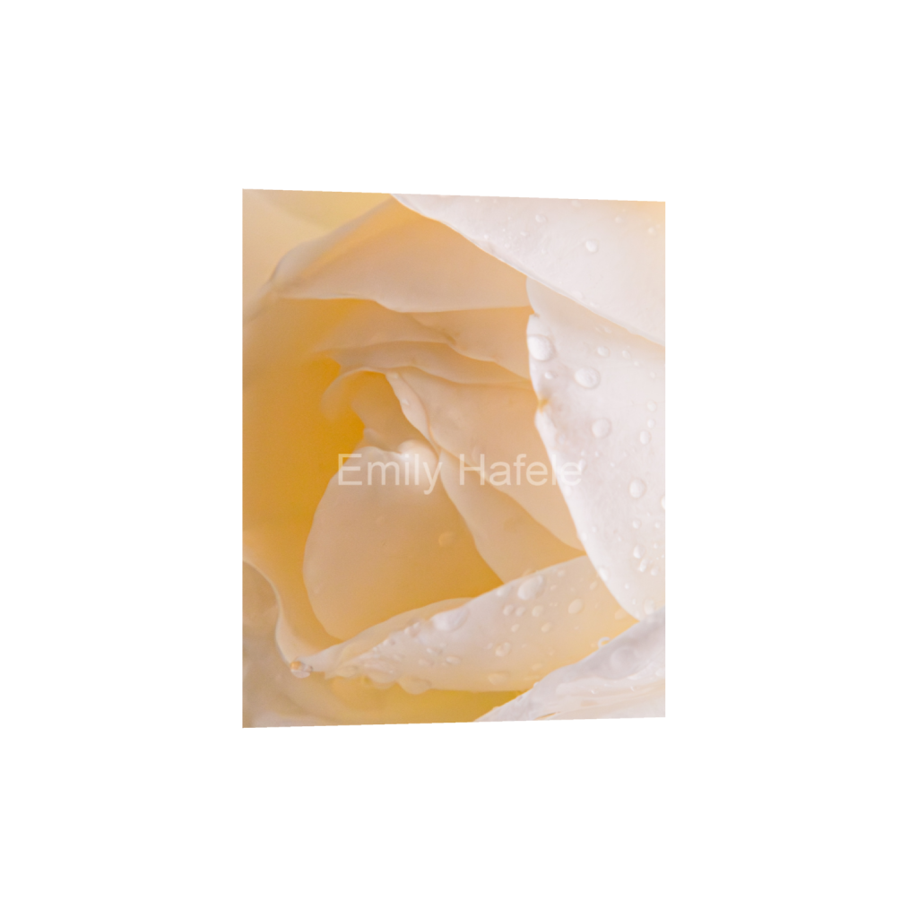 ptq_1_6_0_257_2053_2566_0_false_ffffff_0_0_8bdd4f3b53de4a55399a37ca90b95b1e.png