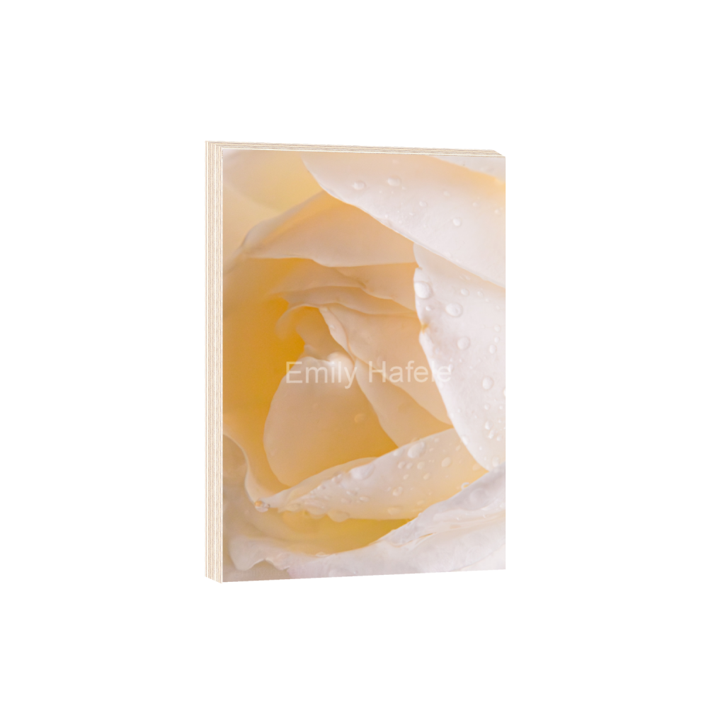 ptq_29_3_0_0_2053_3079_0_false_ffffff_0_0_8bdd4f3b53de4a55399a37ca90b95b1e.png