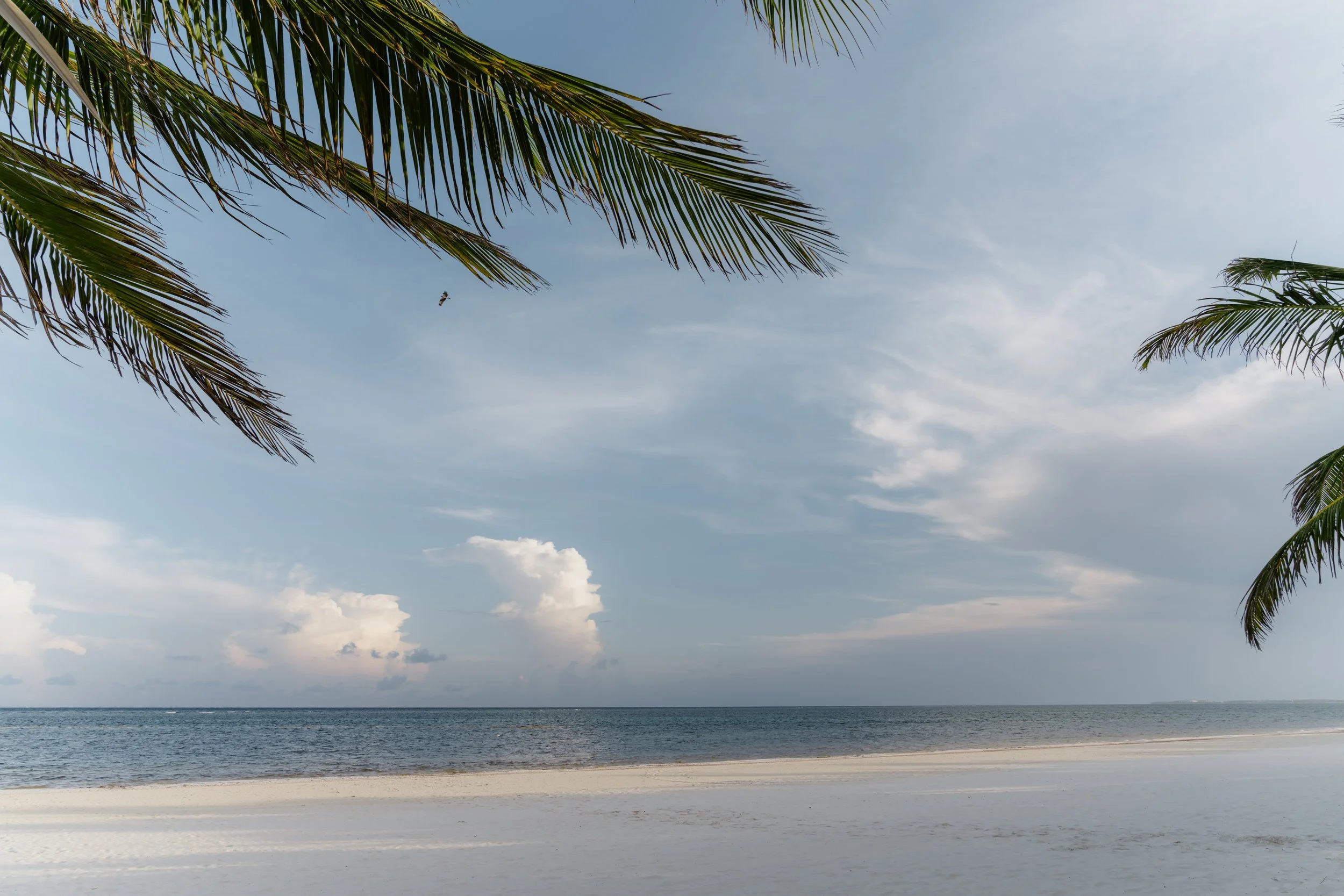 Jessica & Tyler-41.jpg