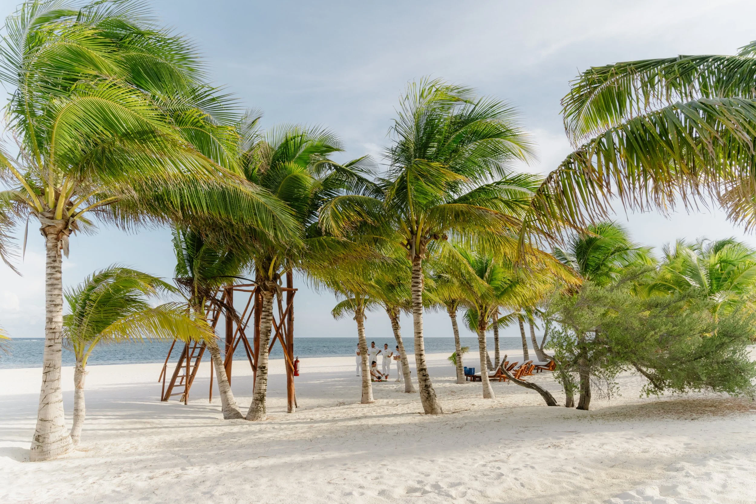 Jessica & Tyler-13.jpg