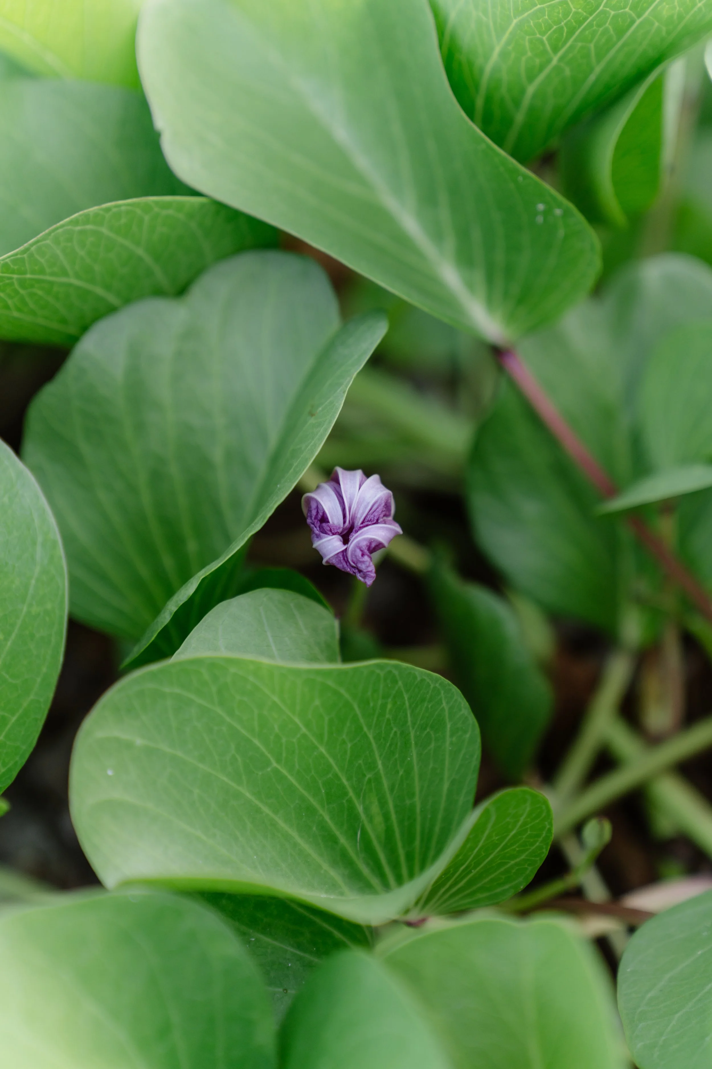 Jessica & Tyler-108.jpg