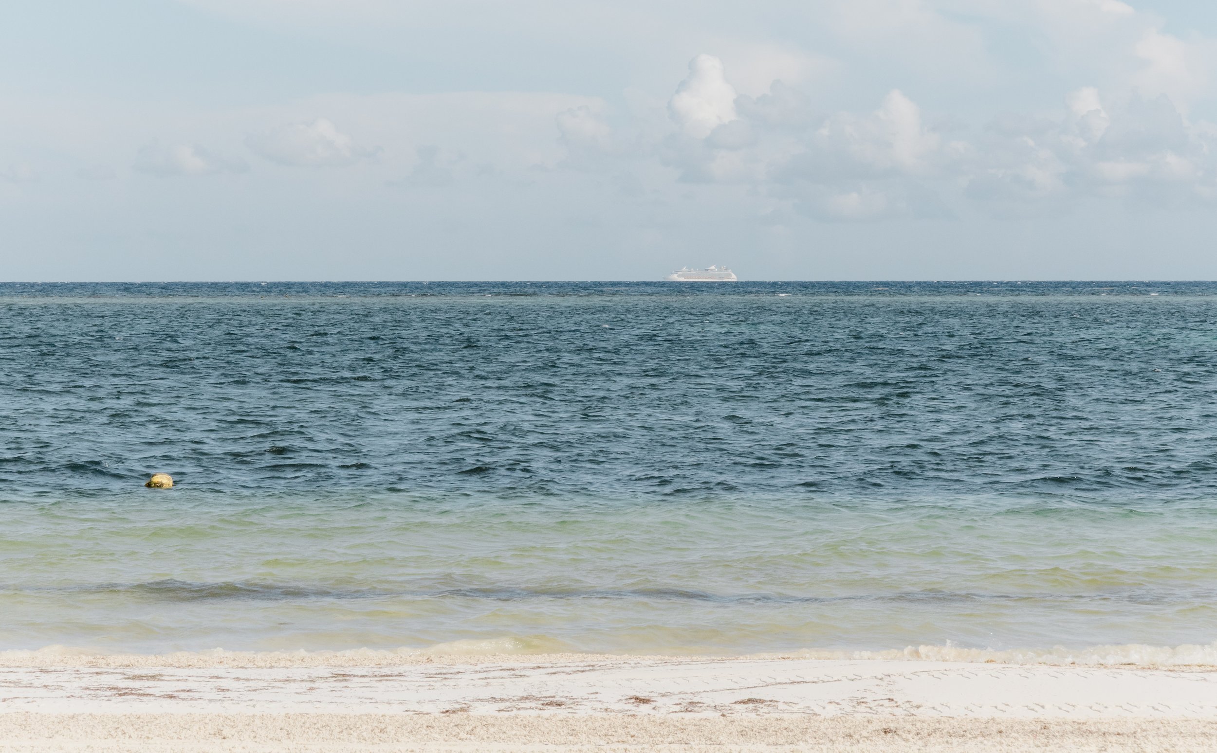 Jessica & Tyler-7.jpg