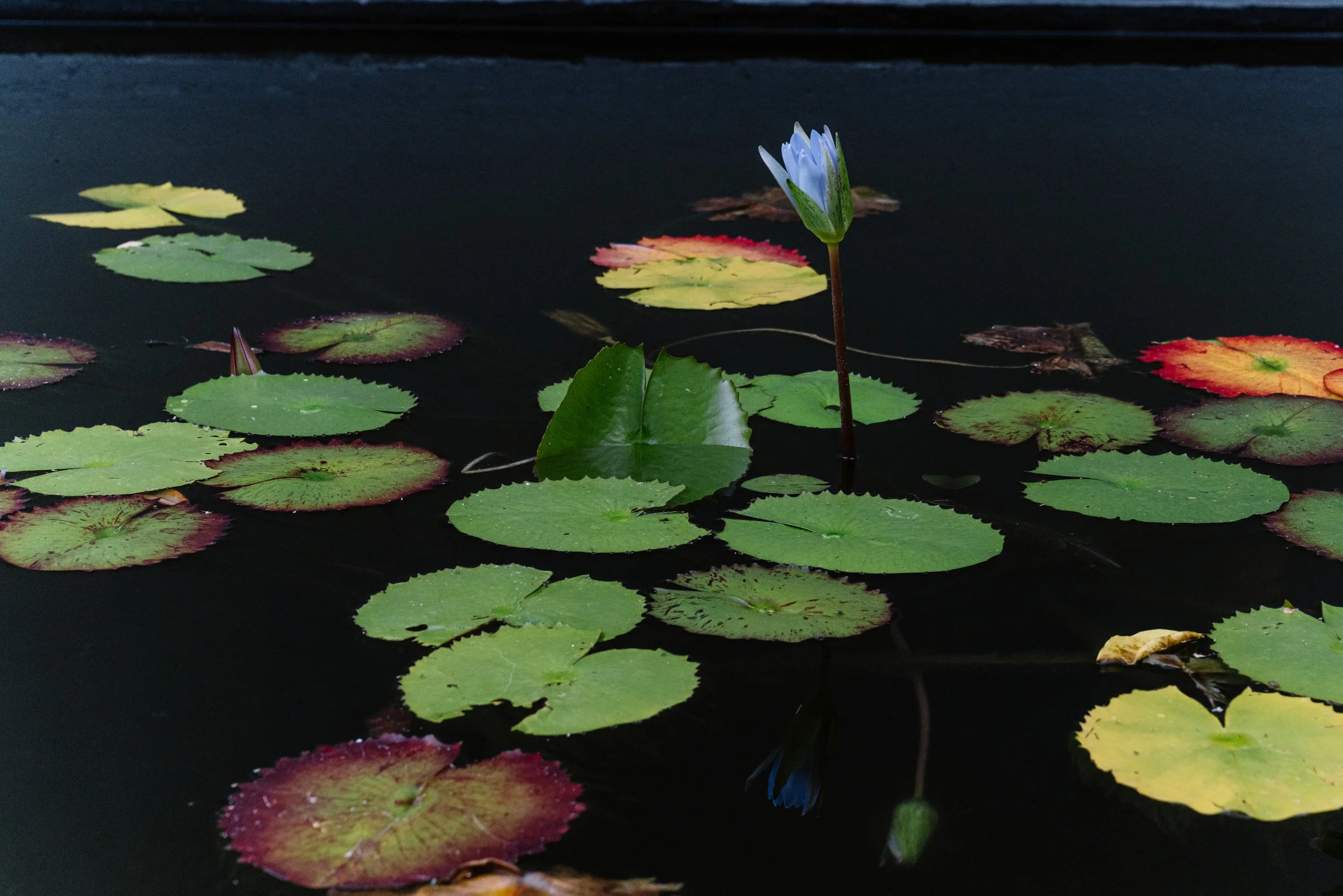 Charlotte & Darren-120.jpg