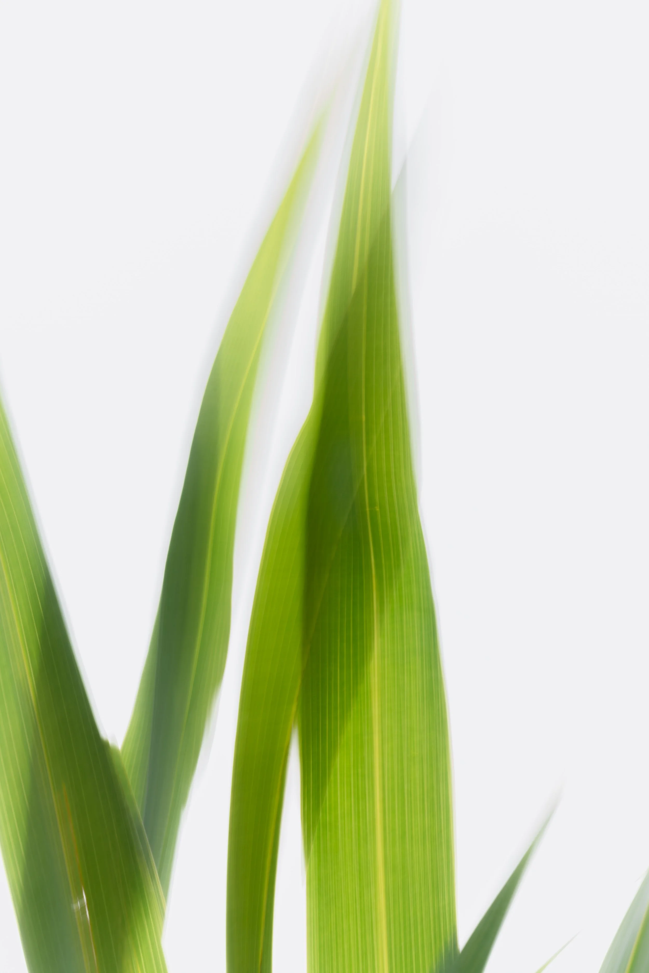 Jessica & Tyler-33.jpg