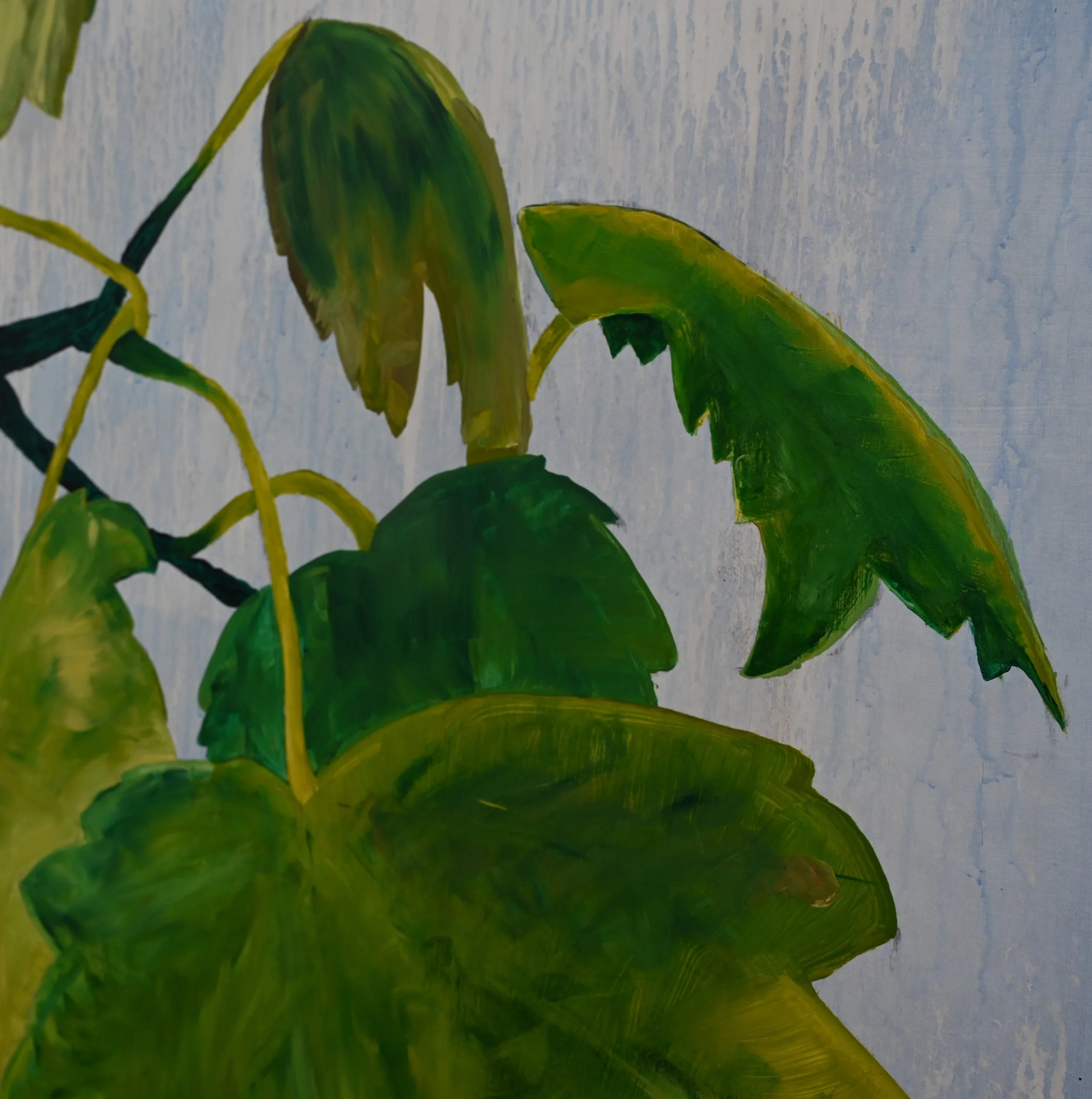 Autumn Leaves3.JPG