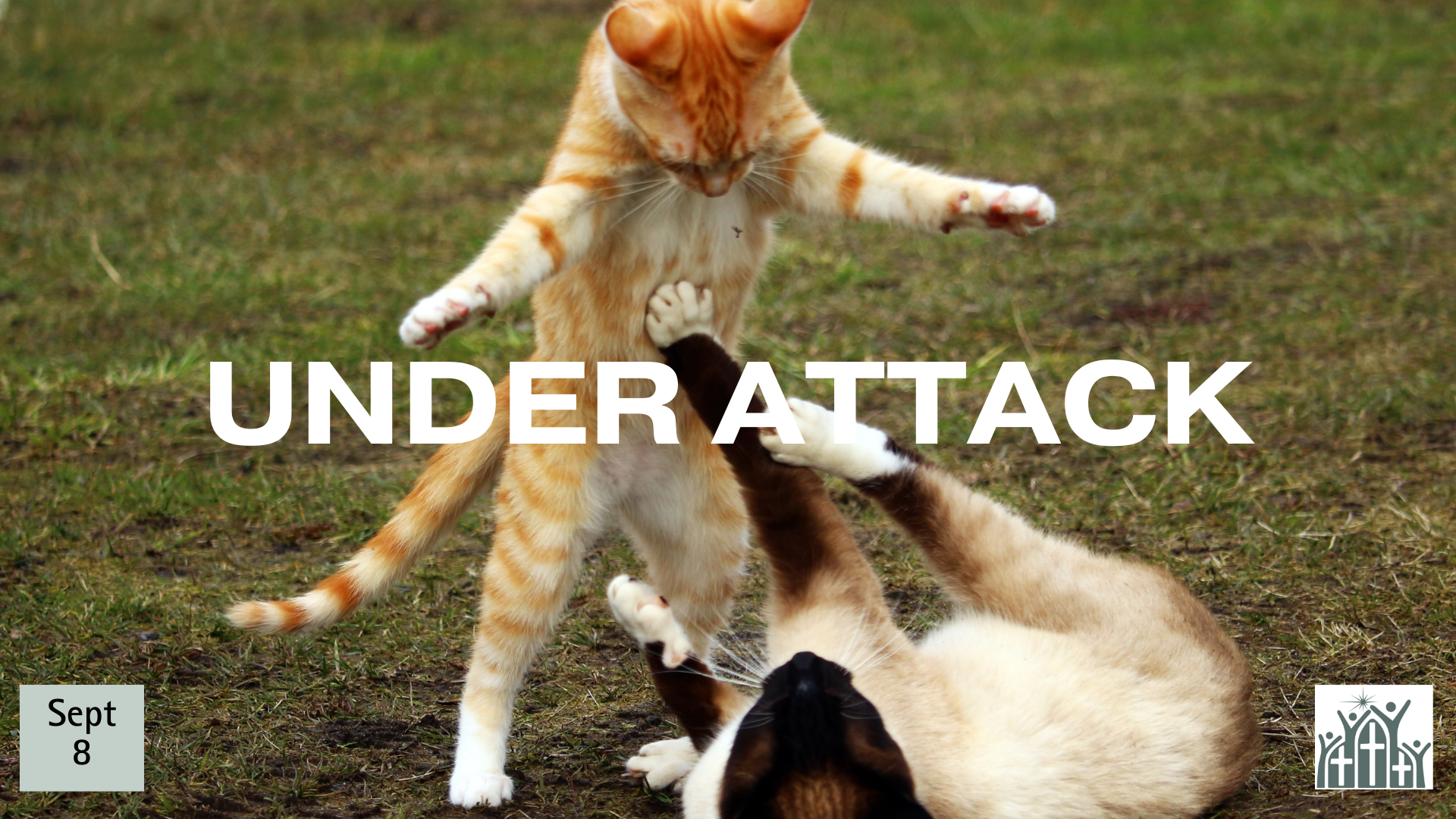 under attack