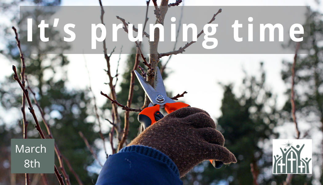 It’s Pruning Time
