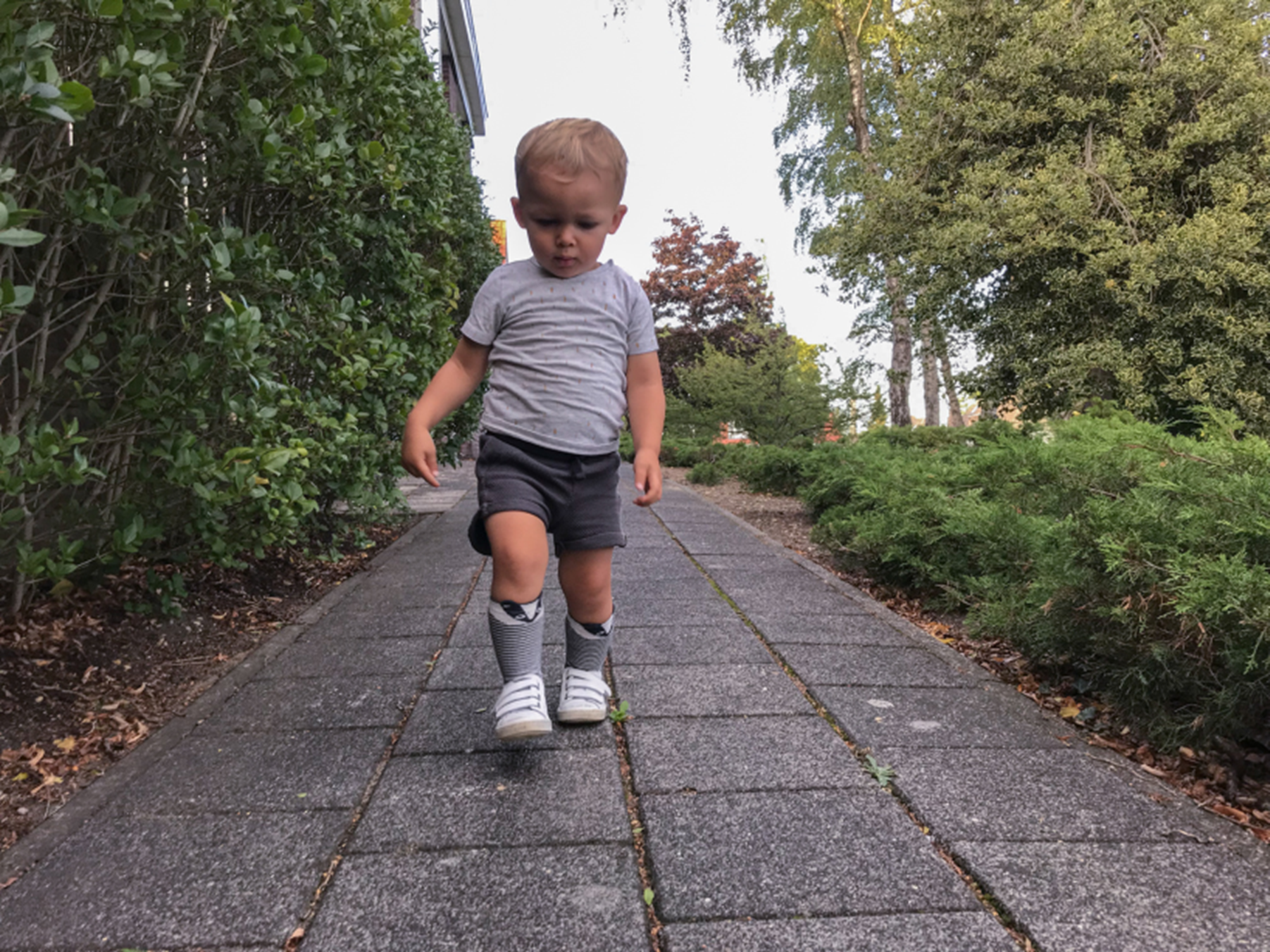 Walking Well