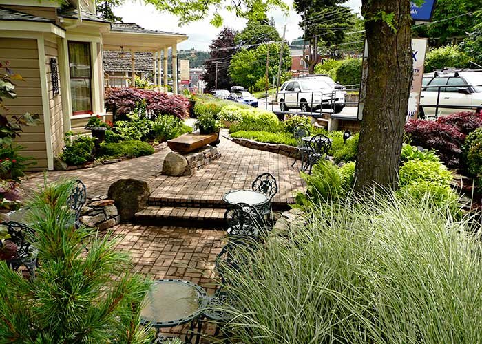 The flourishing southwest patio areas, June 2008